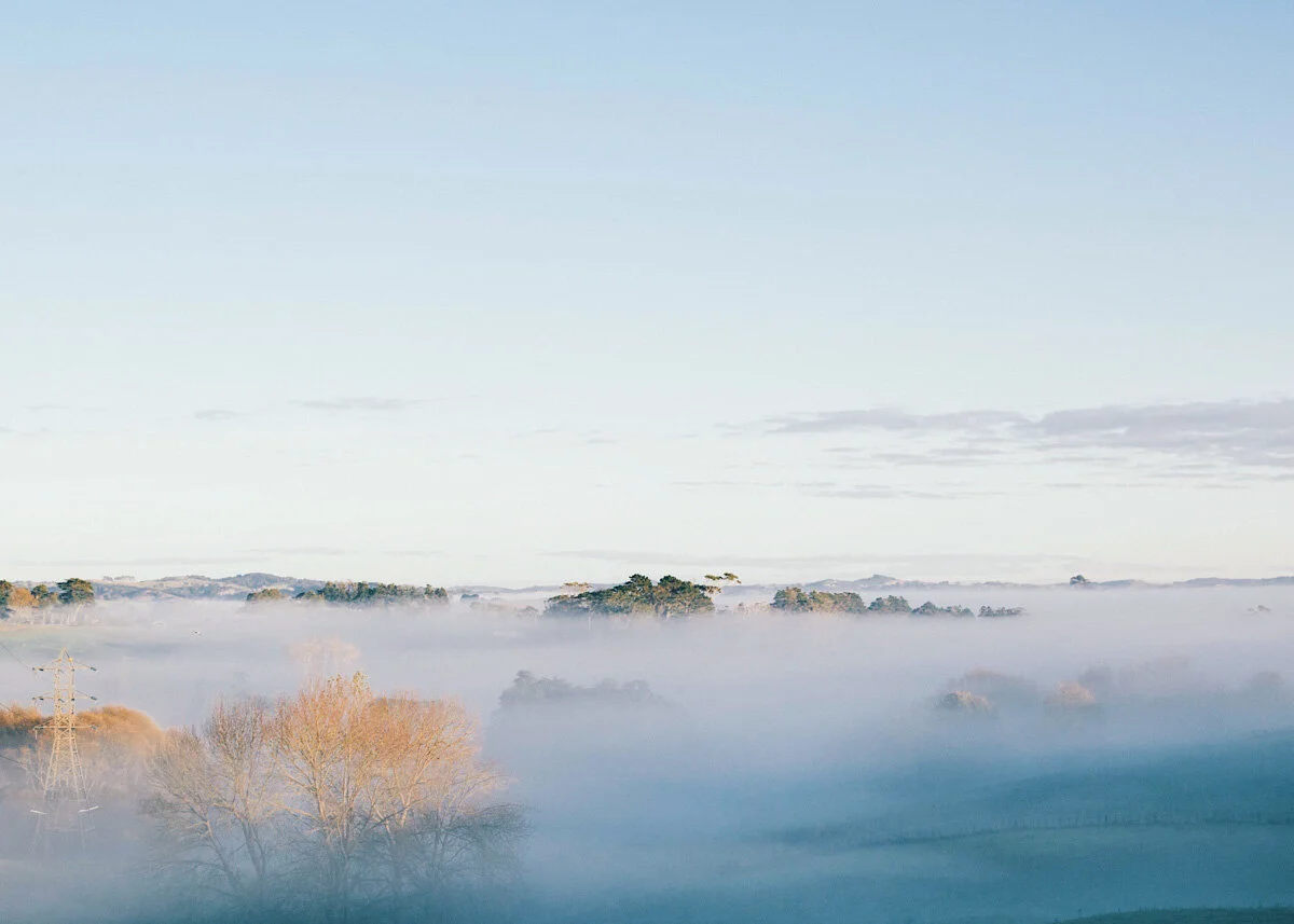 newnew-79.jpg