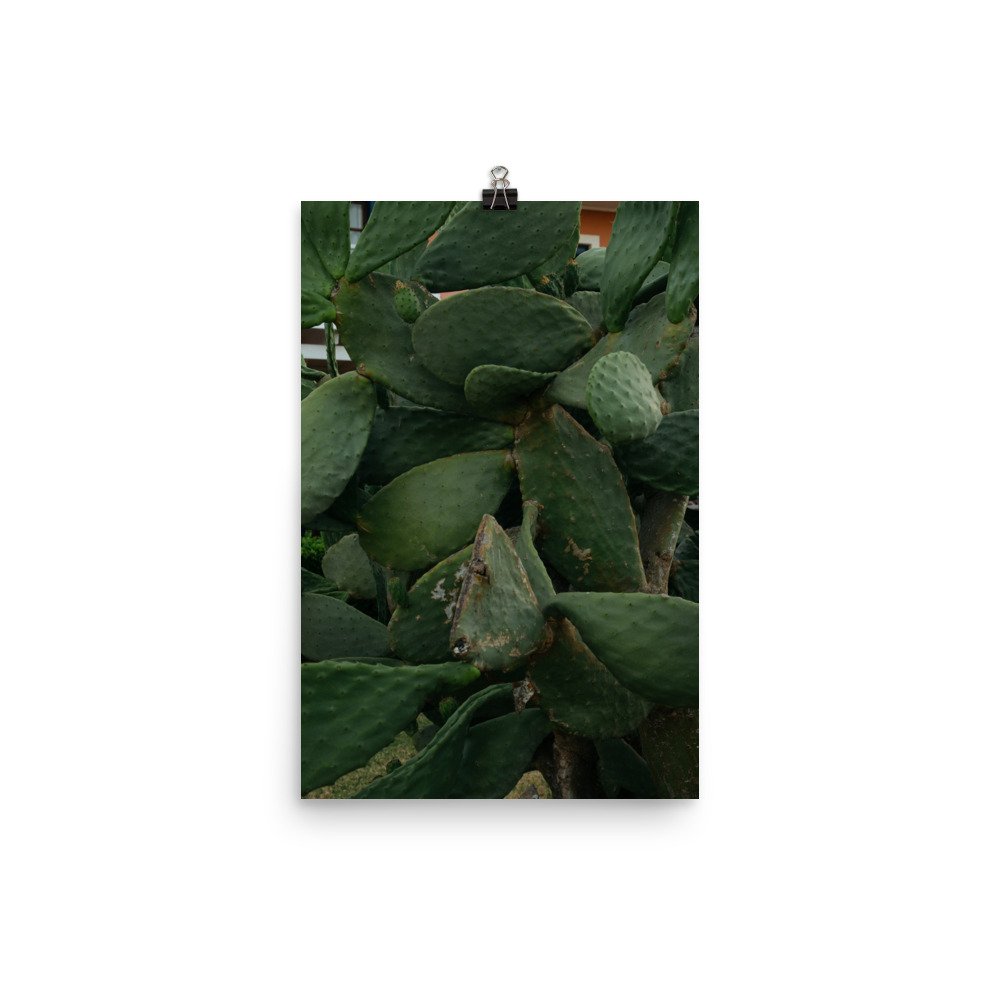 enhanced-matte-paper-poster-(in)-12x18-transparent-631a3c2f98979.jpg