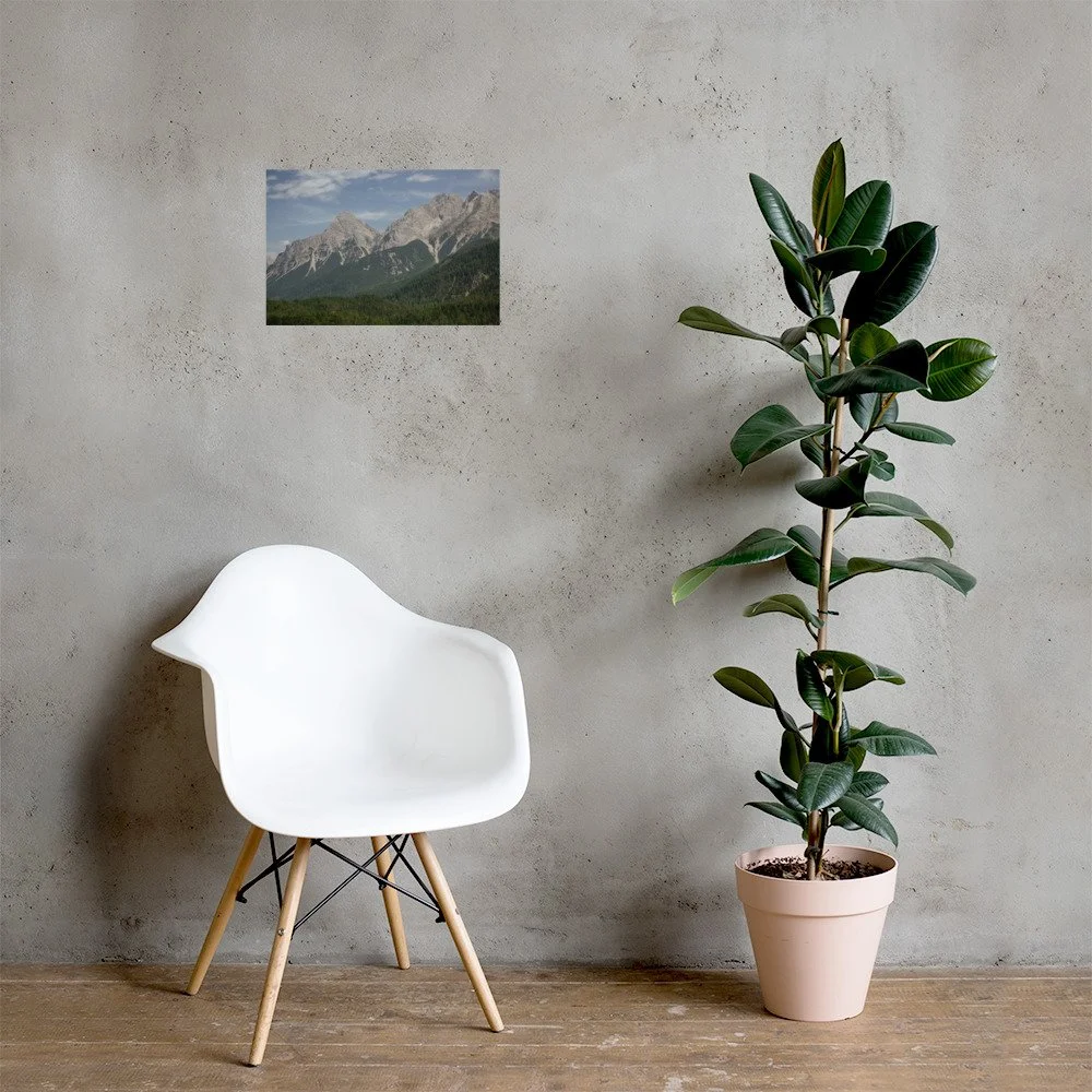 enhanced-matte-paper-poster-(in)-12x18-lifestyle-1-63d03daa6782c.jpg
