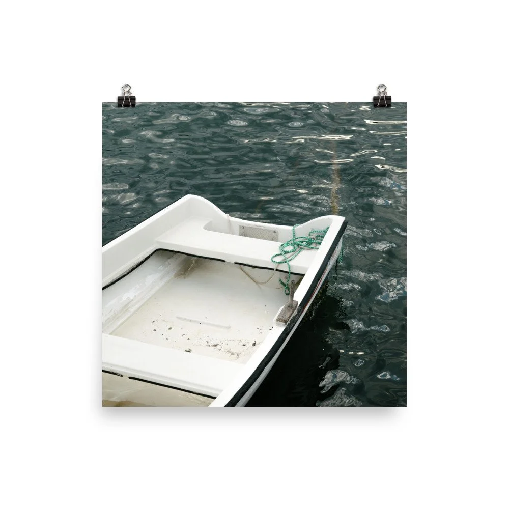 enhanced-matte-paper-poster-(in)-12x12-transparent-63dc15497848e.jpg