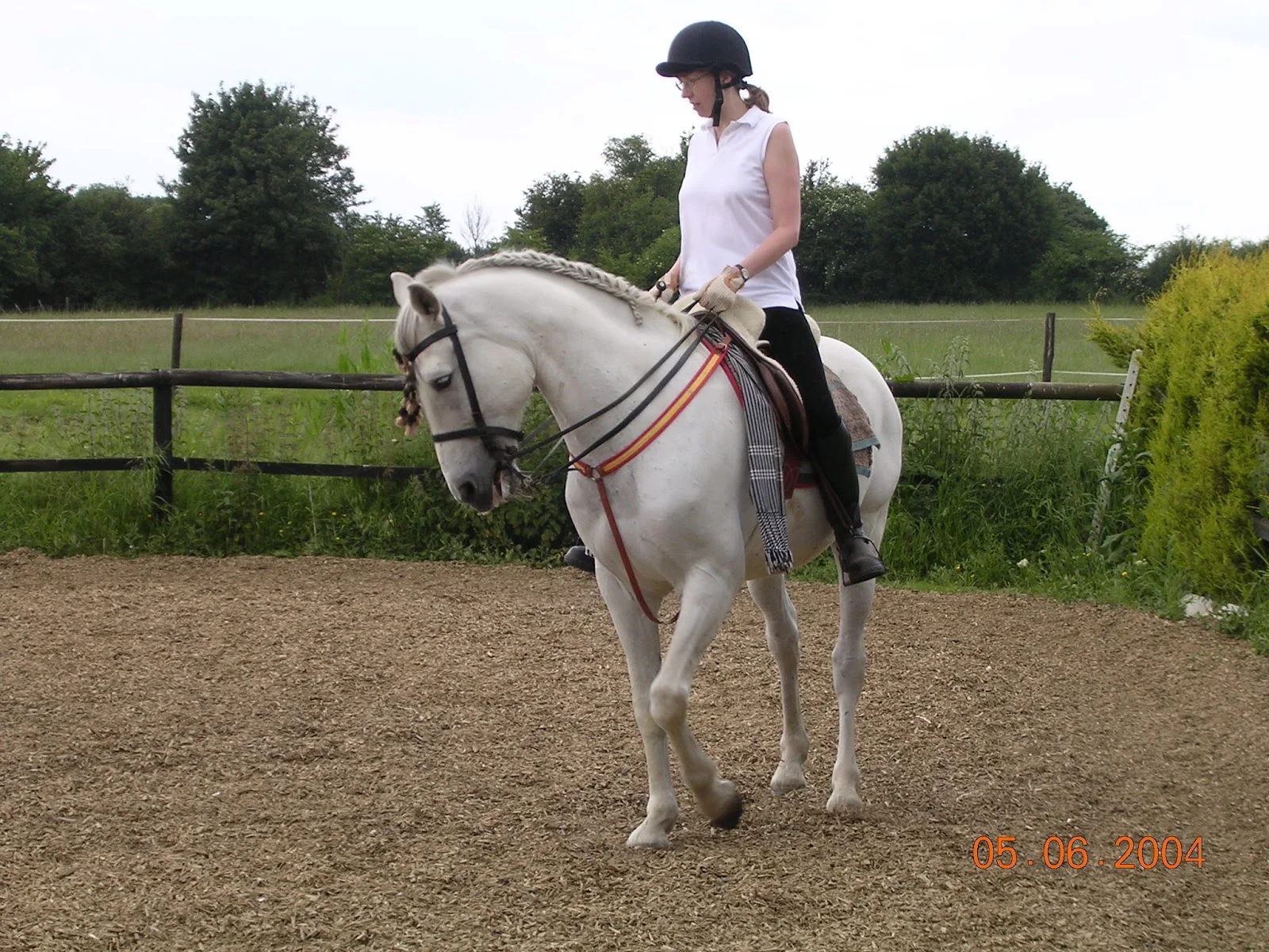 Lady riding a horse in an arena