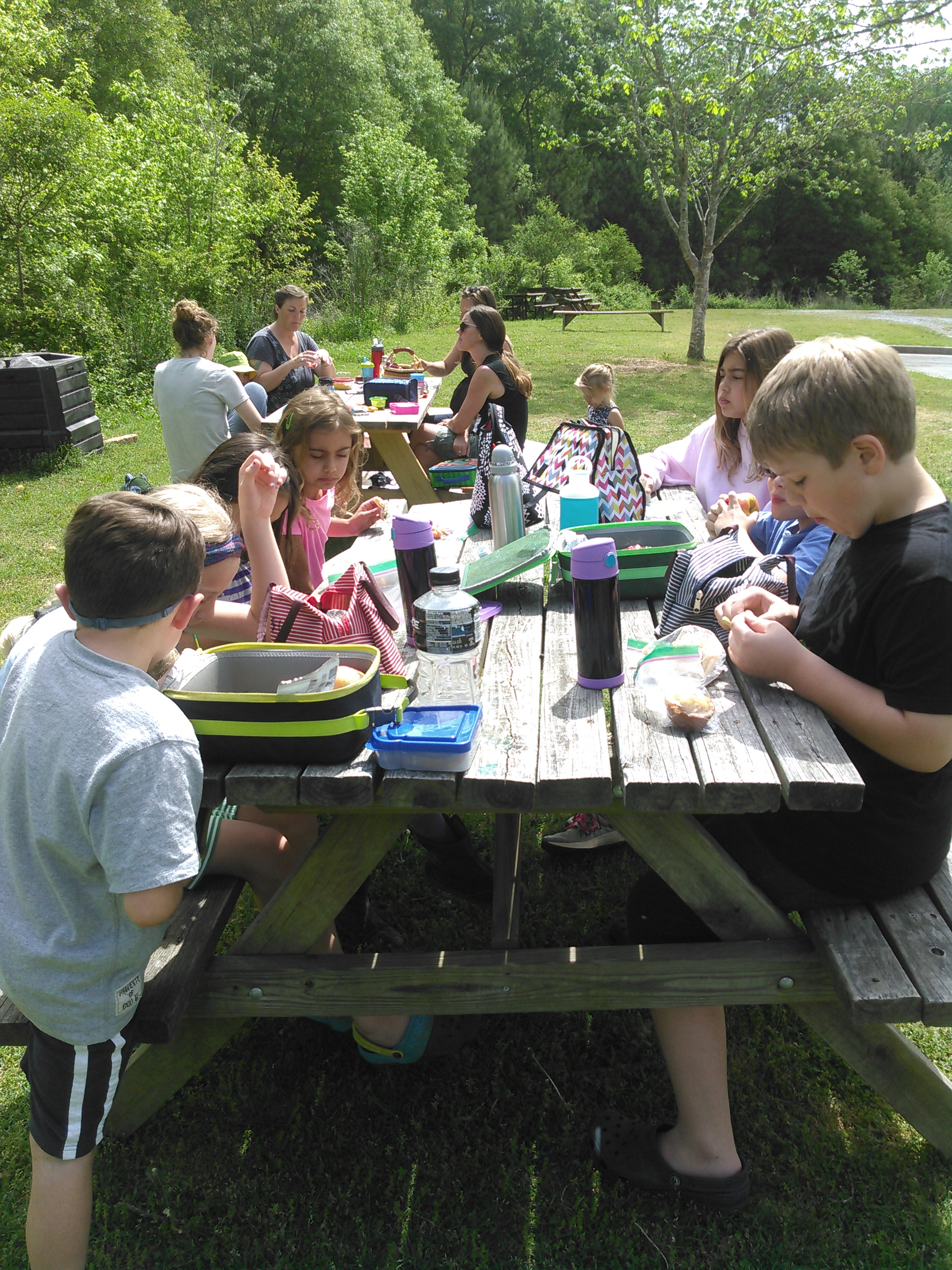 Picnic Lunch everyday!