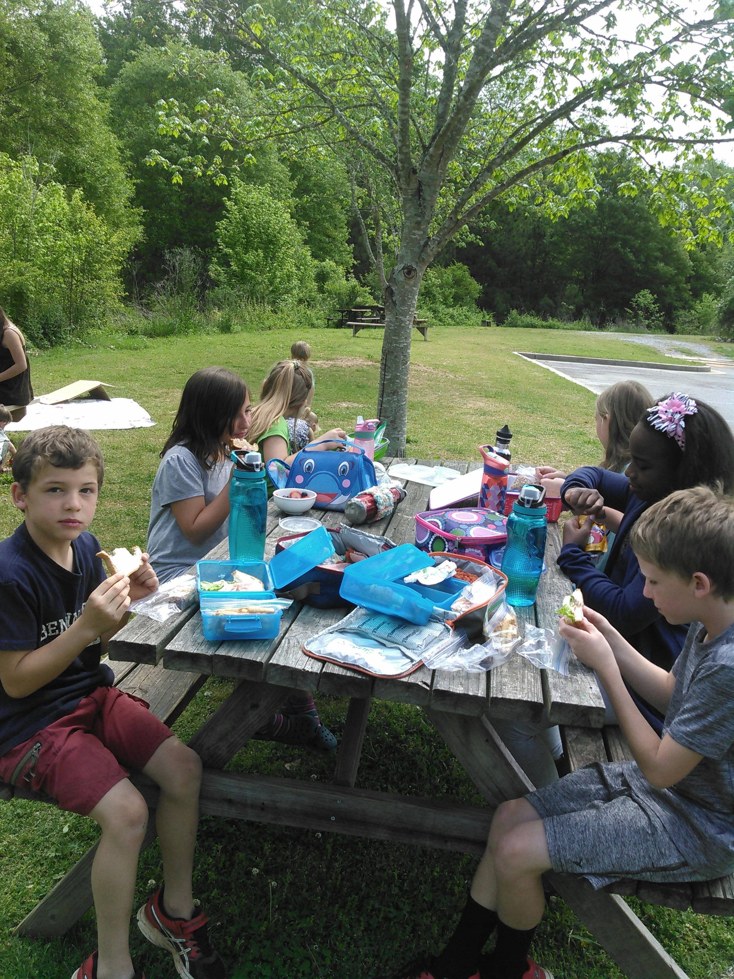 Picnic Lunch Everyday!