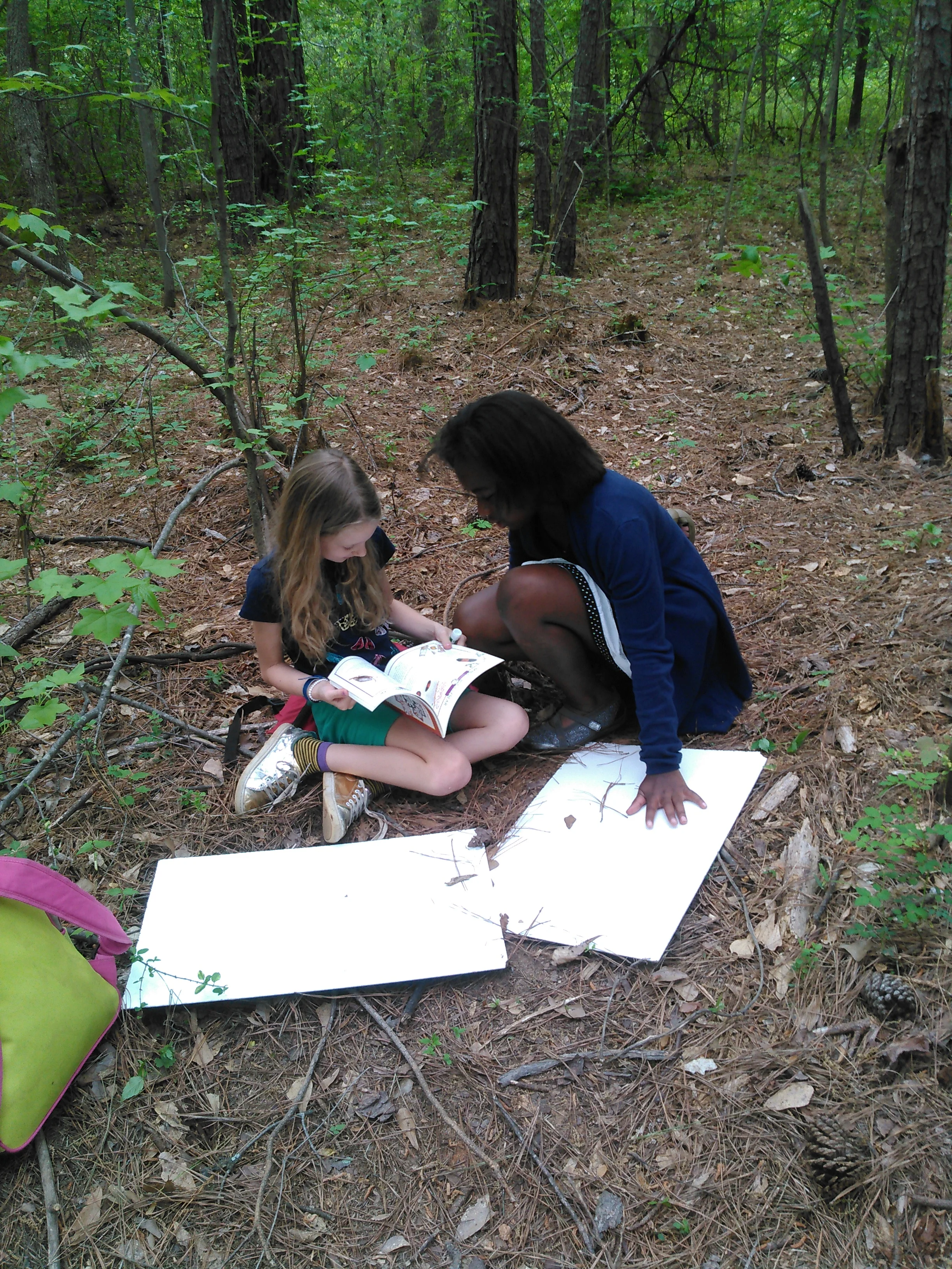 Reading about animals and creating calculations while enjoying the shelter classroom