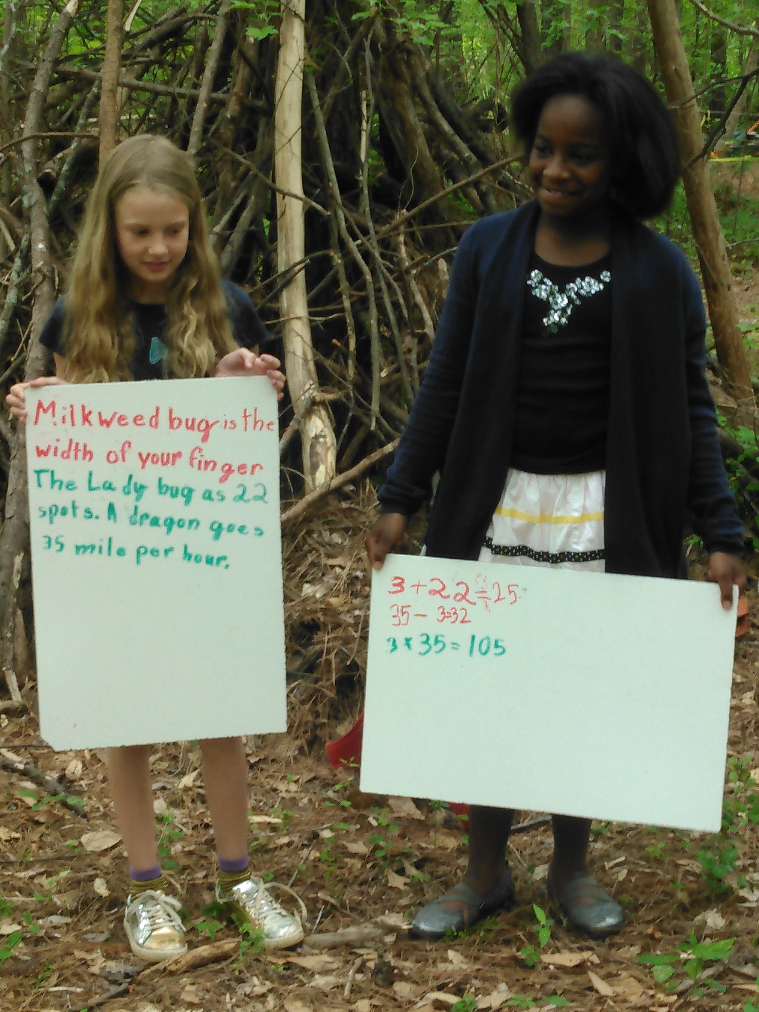 Reading about animals and creating calculations while enjoying the shelter classroom