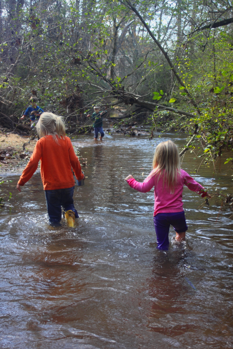 Walking upstream email.jpg