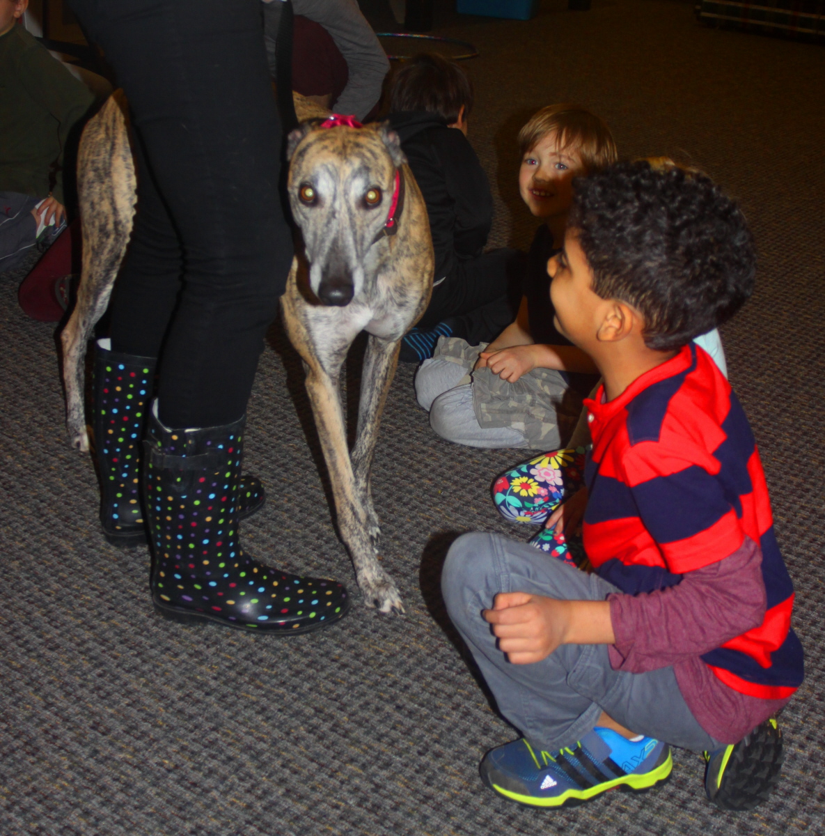 Visit with Max the rescue greyhound email.jpg