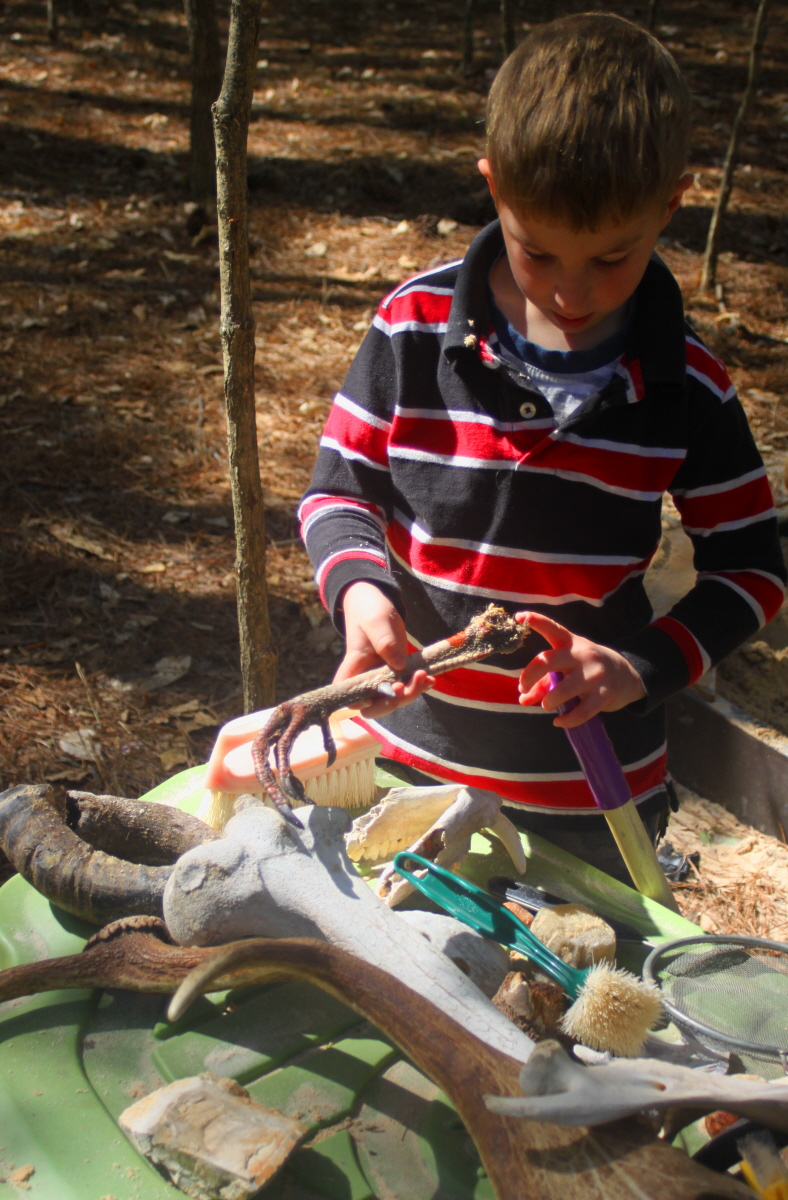 Turkey leg found in the archeology dig email.jpg