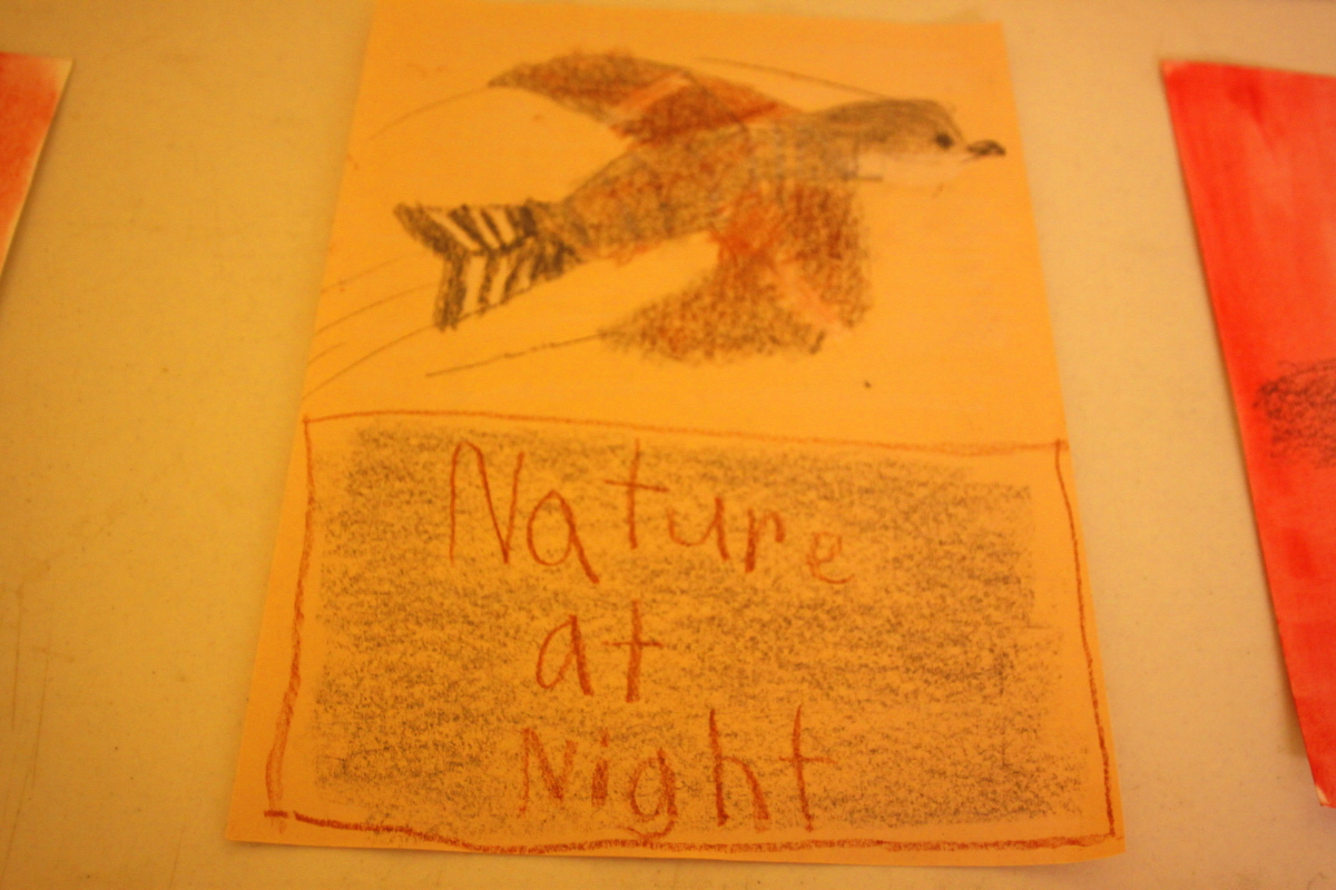 Nature at Night nighthawk email.jpg