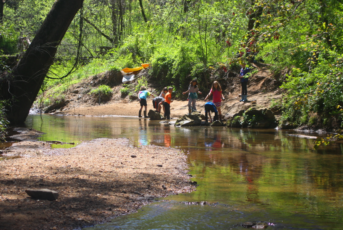 Sunny creek day email.jpg