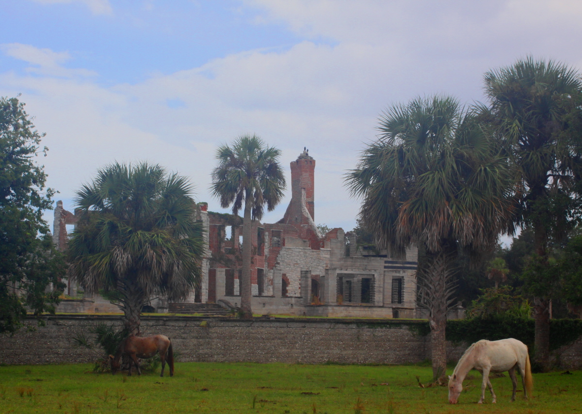 Dungeness mansion built by the Carnegie family in the 1880s email.jpg