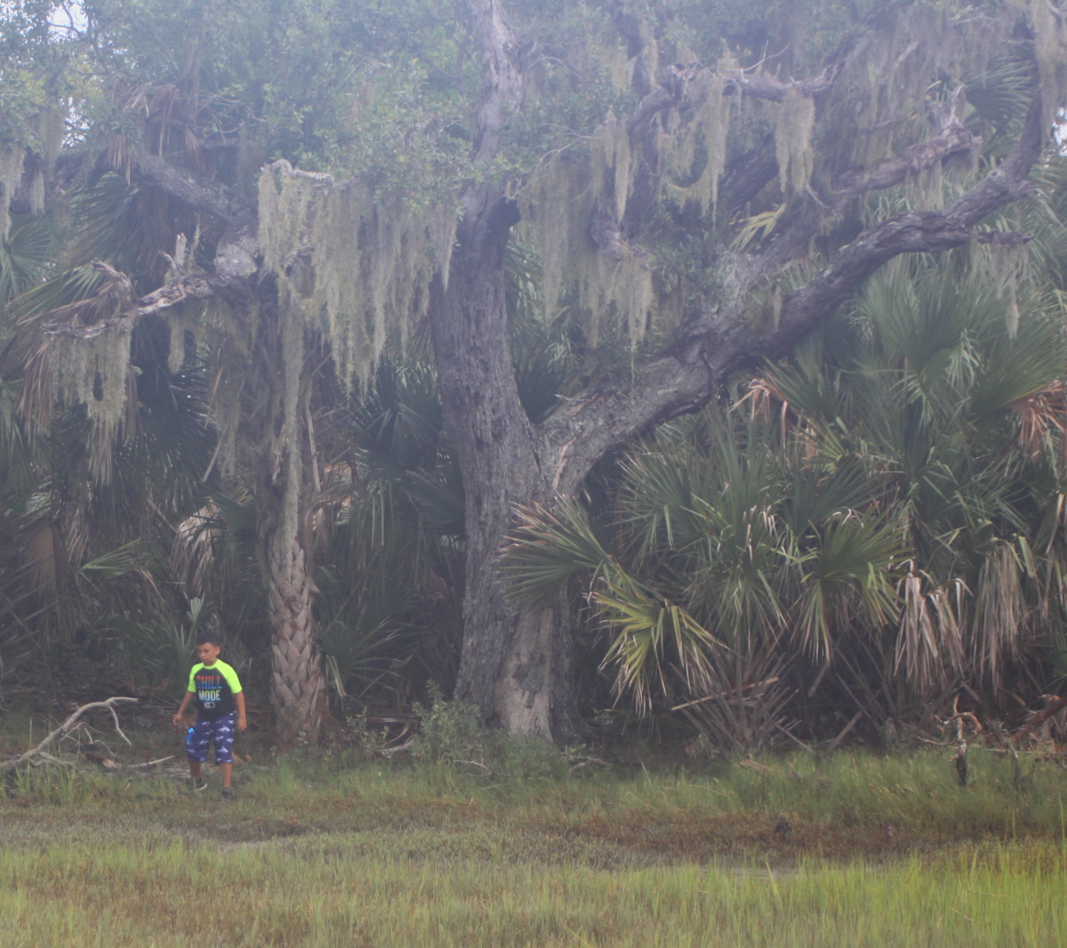 Exploring the edge of the salt marsh email.jpg