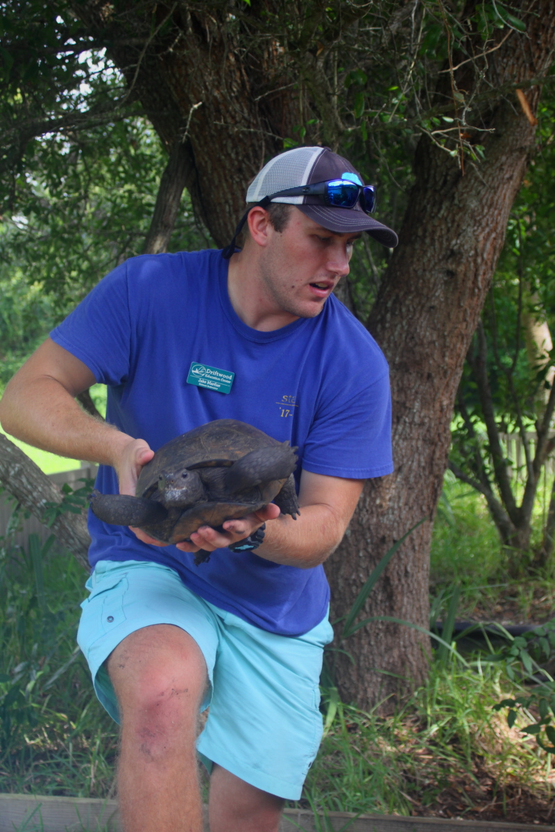 Gopher tortoise email.jpg