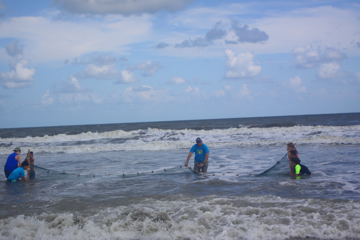 Ki Jake leads the seining in rough surf email.jpg
