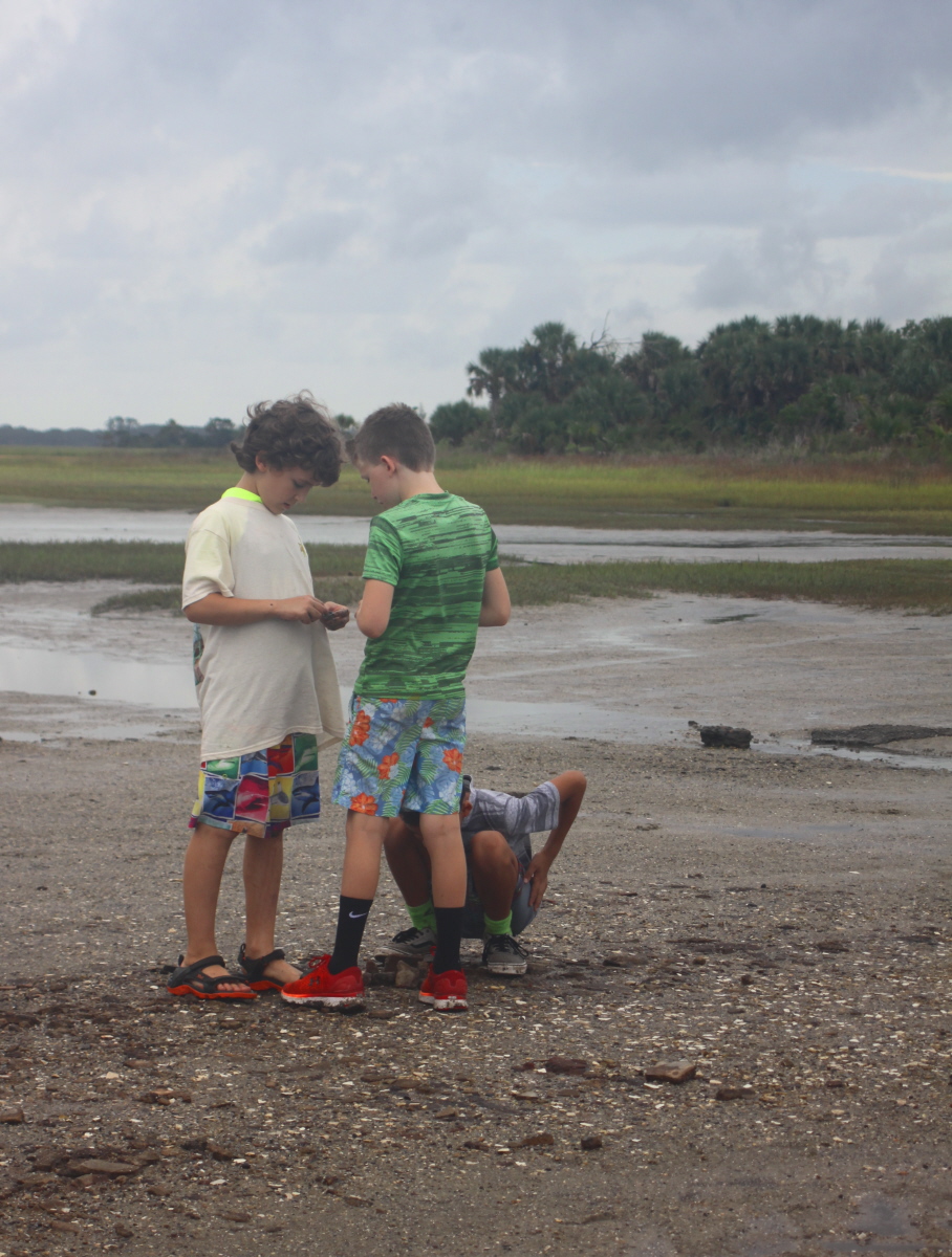 Searching for shark's teeth on the mud flat email.jpg