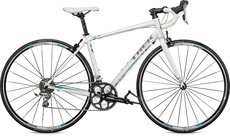 trek bicycle store al qudra