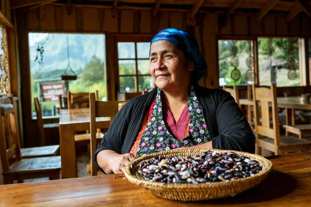 Anita Epulef, Activist, Chef, Curarrehue