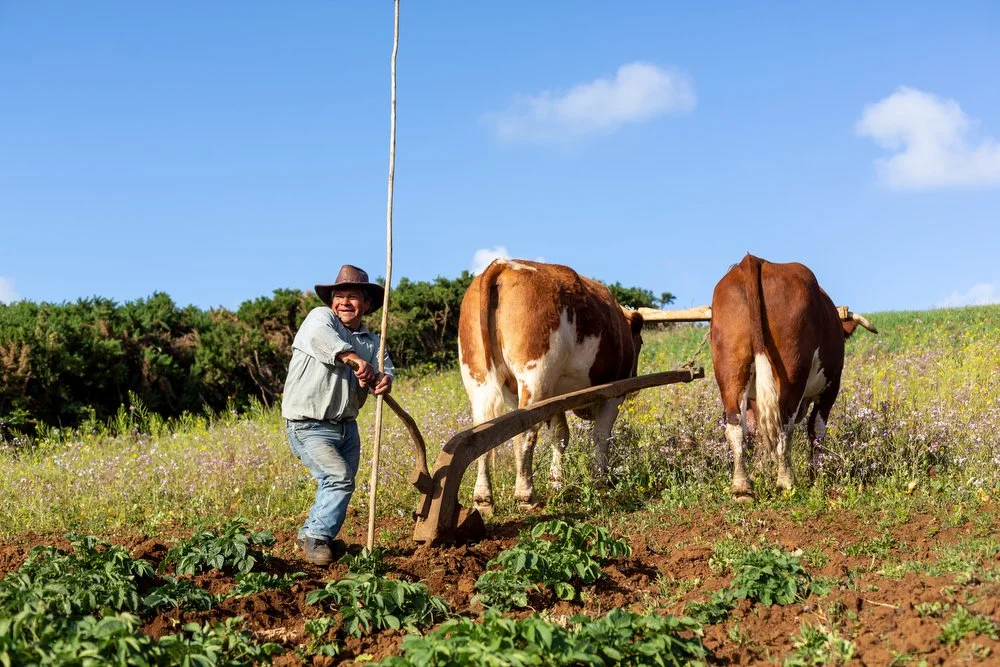 Bernardo Huenchacona, Farmer, Puerto Saavedra