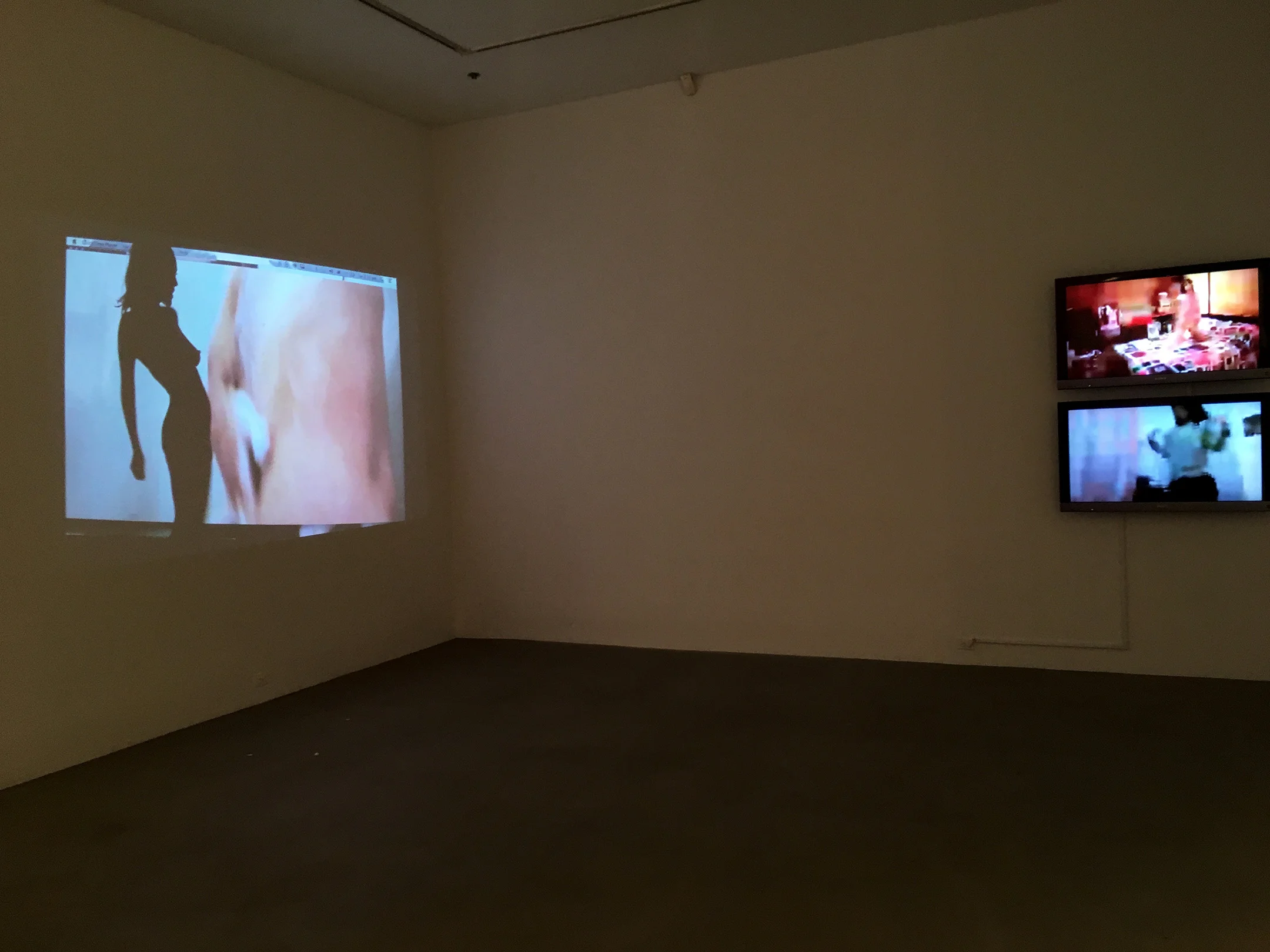  Install shot at 80WSE Gallery 