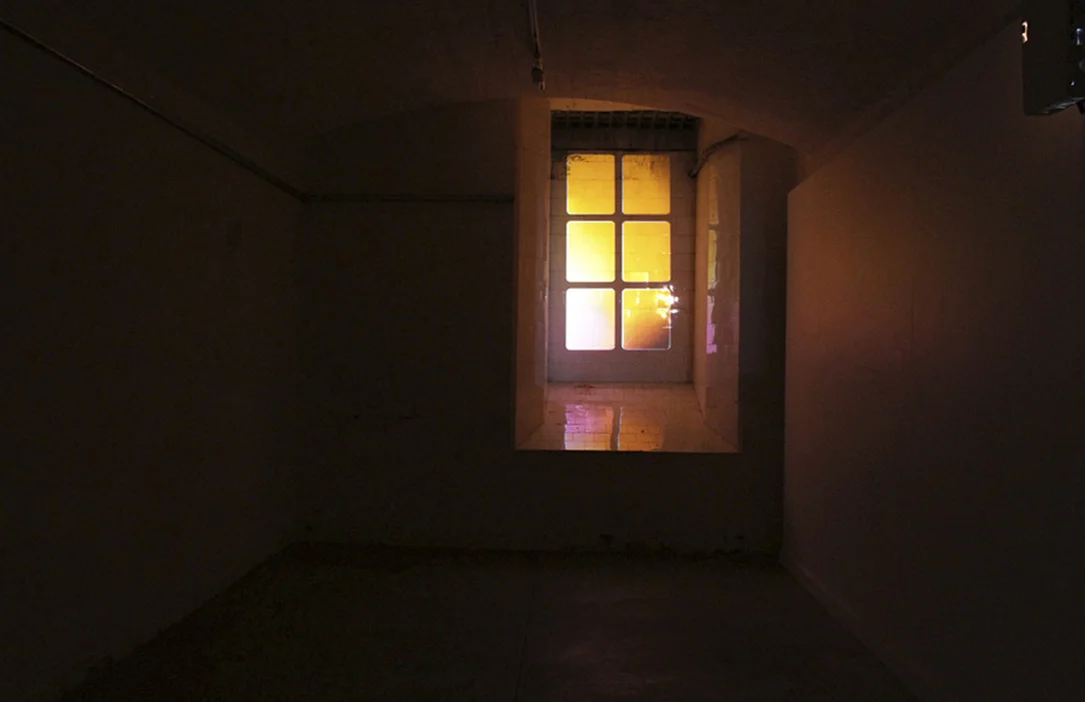Window, 2011
