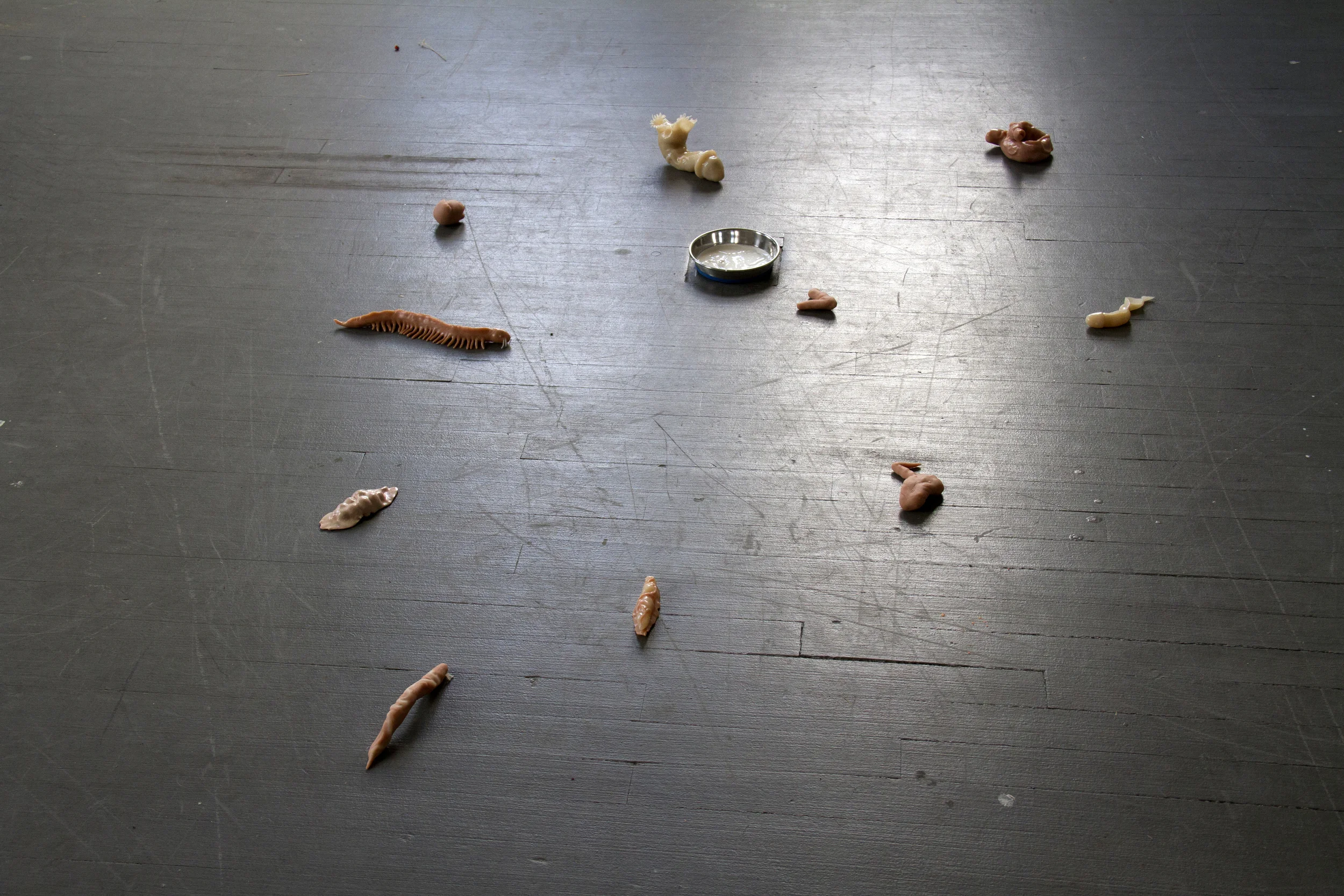 slugs-and-bugs.jpg