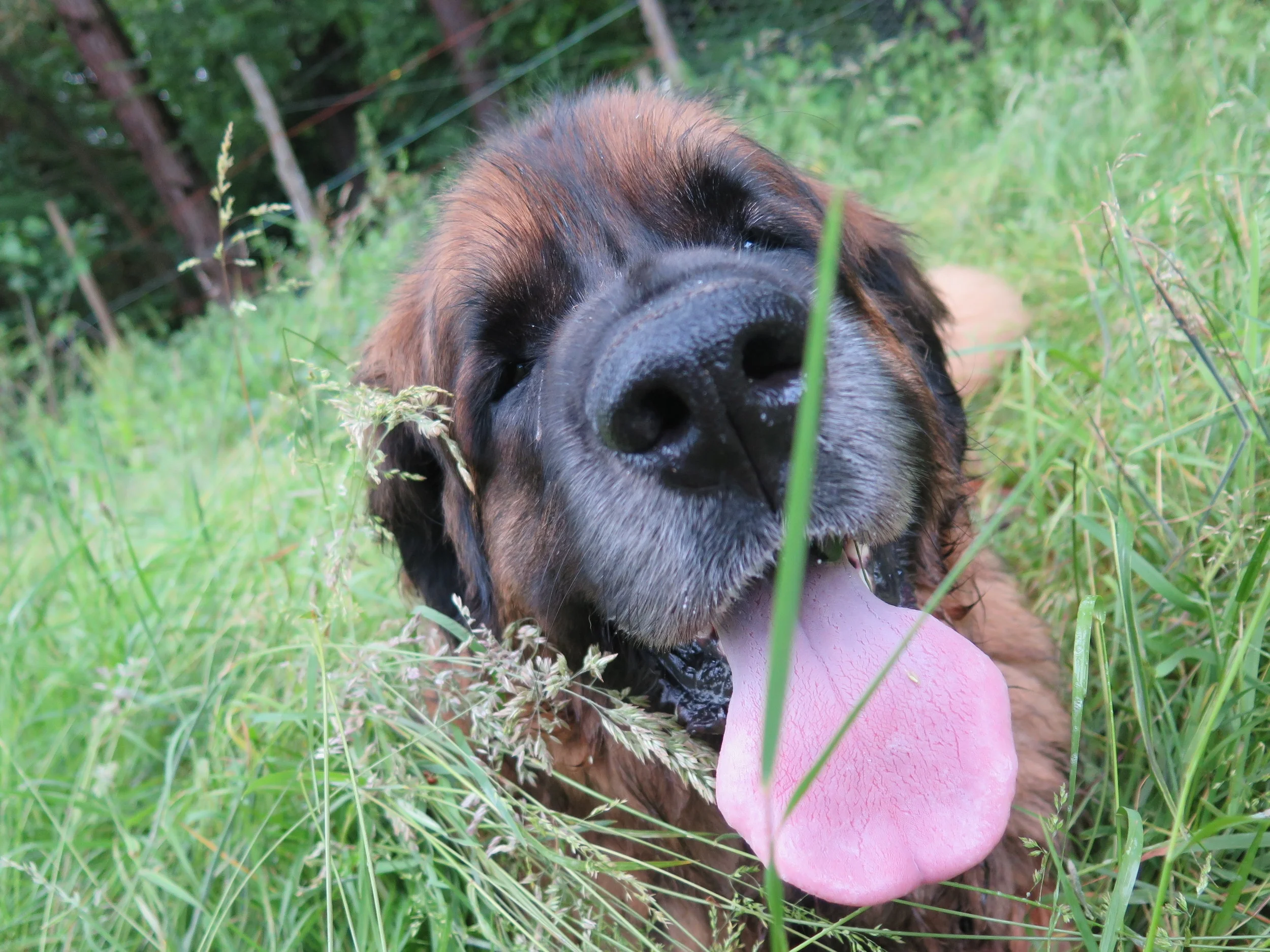 My trusted associate, Oscar