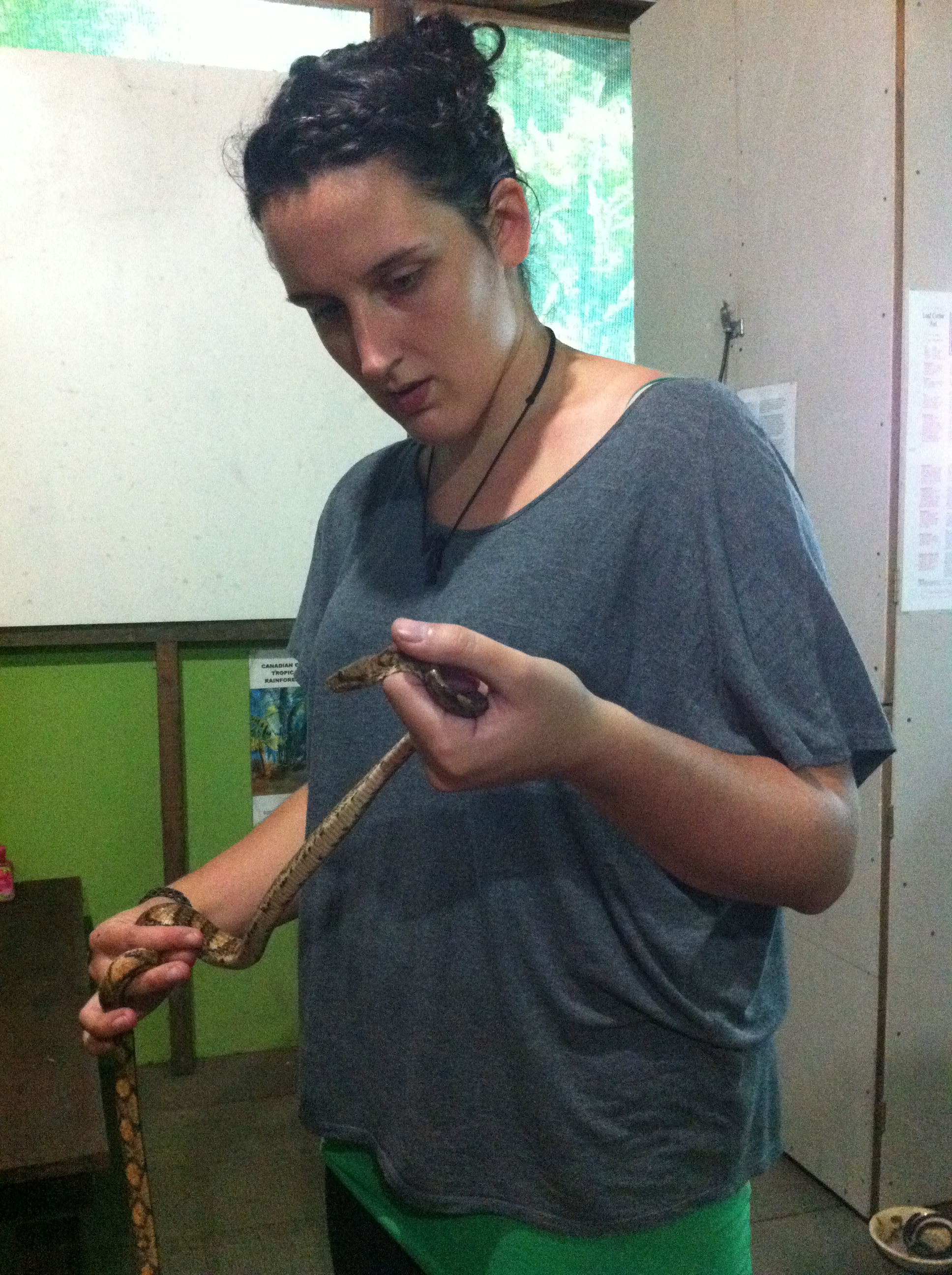 Snake Handling
