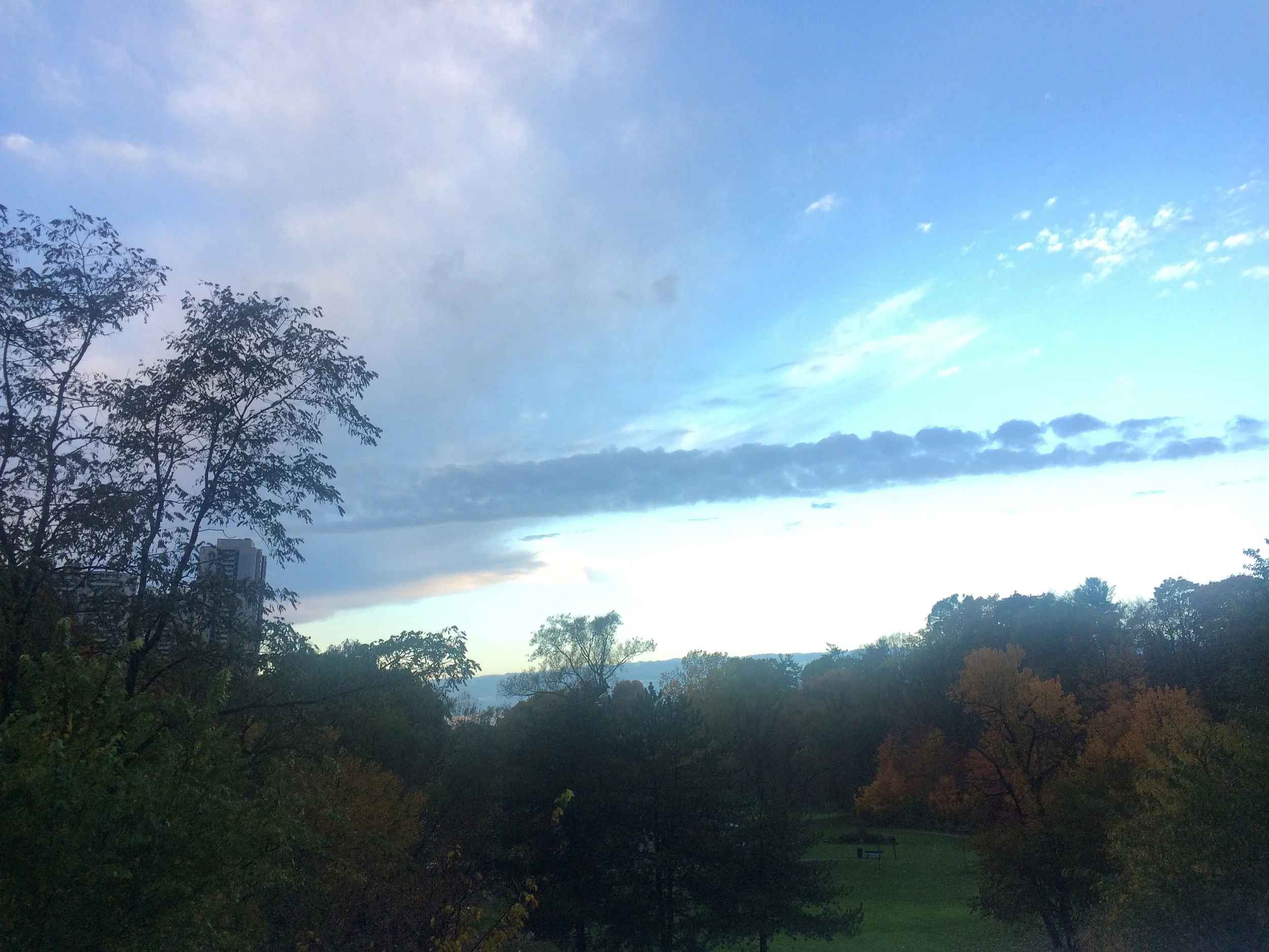  Early Toronto morning, sometimes I forget just how beautiful the city can be. 