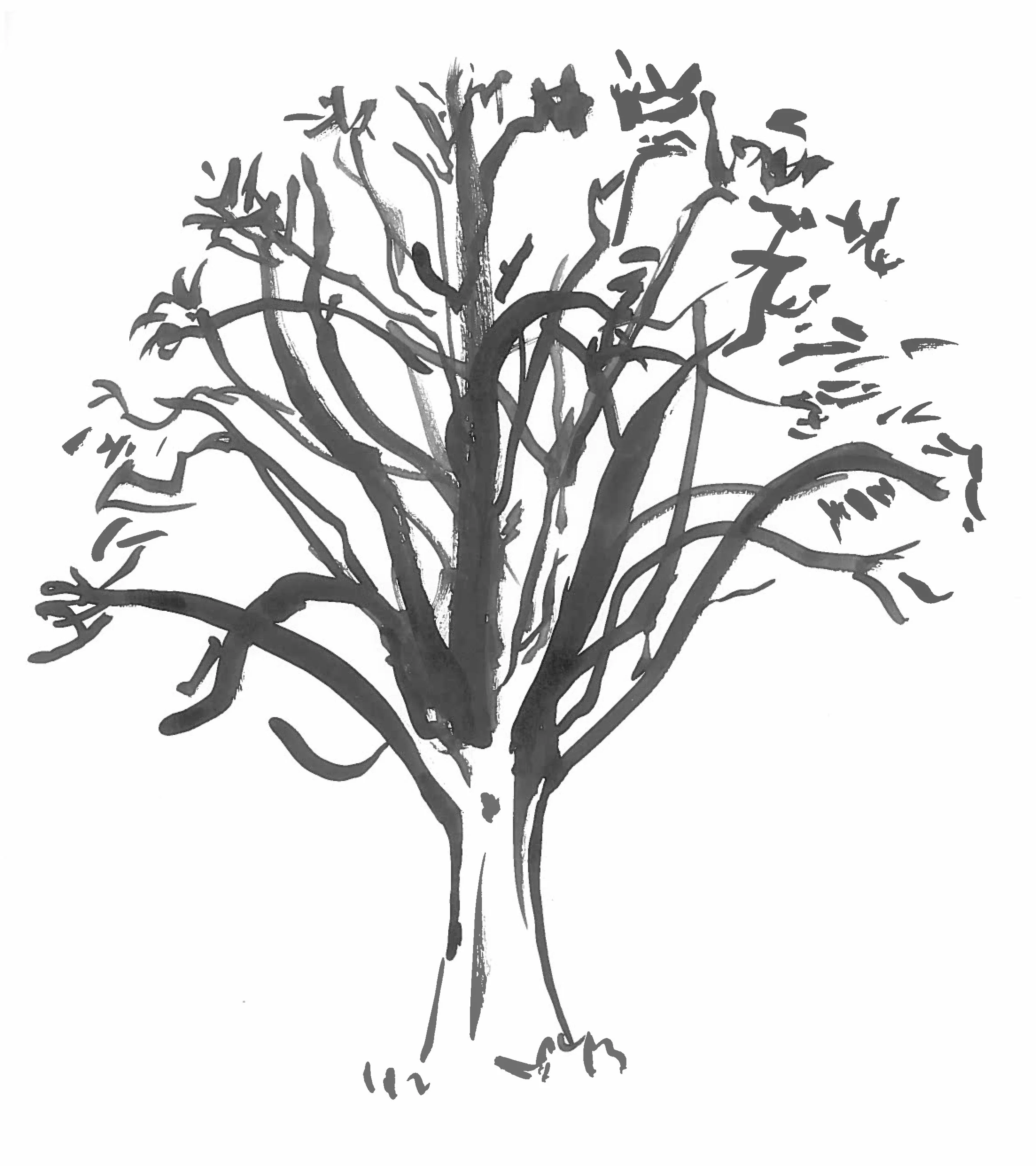 13. Seasons - Winter.jpg