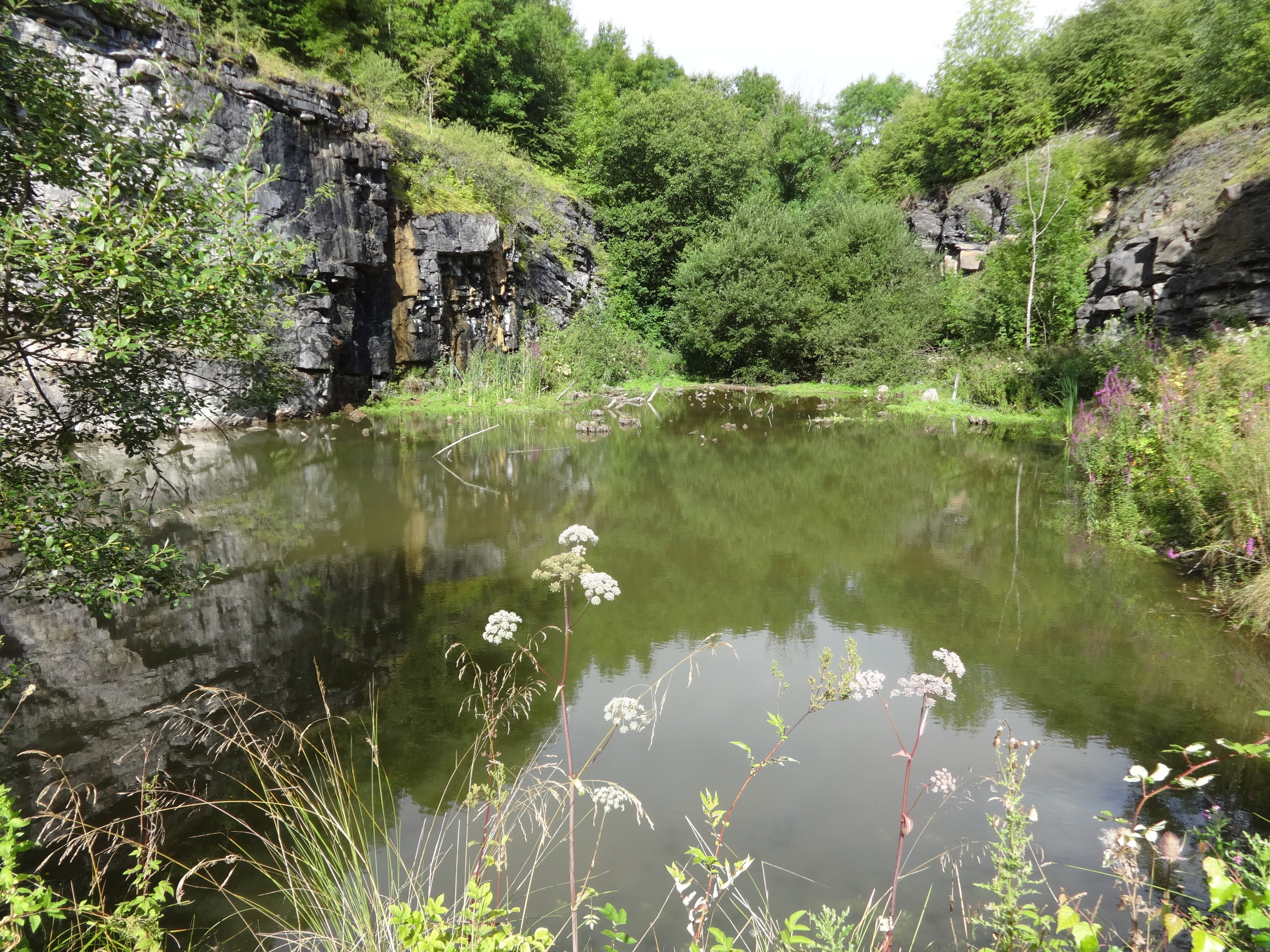 CAWDOR QUARRY by Irene Smith