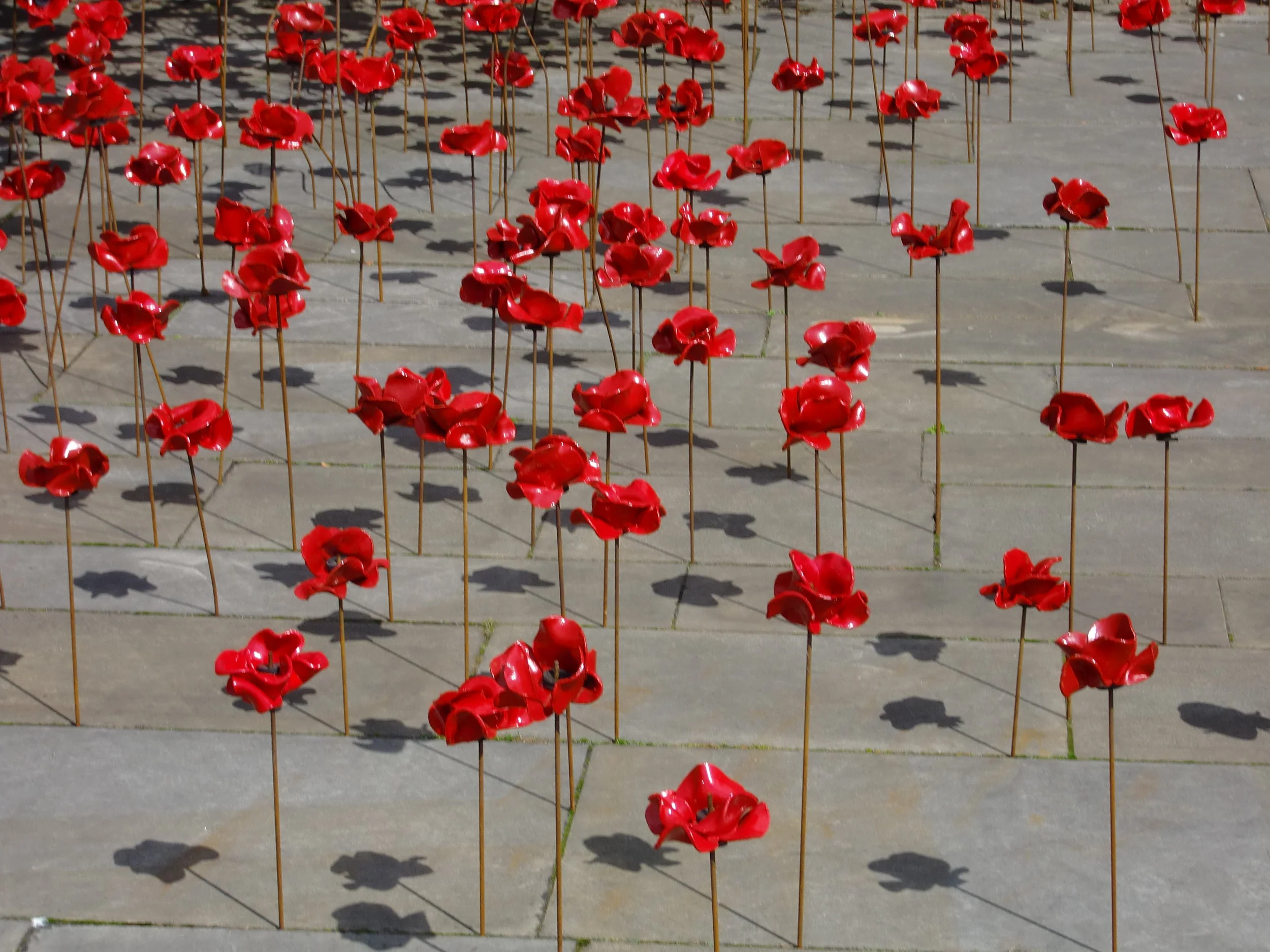   DERBY POPPY MEMORIAL by Graham Eaton   