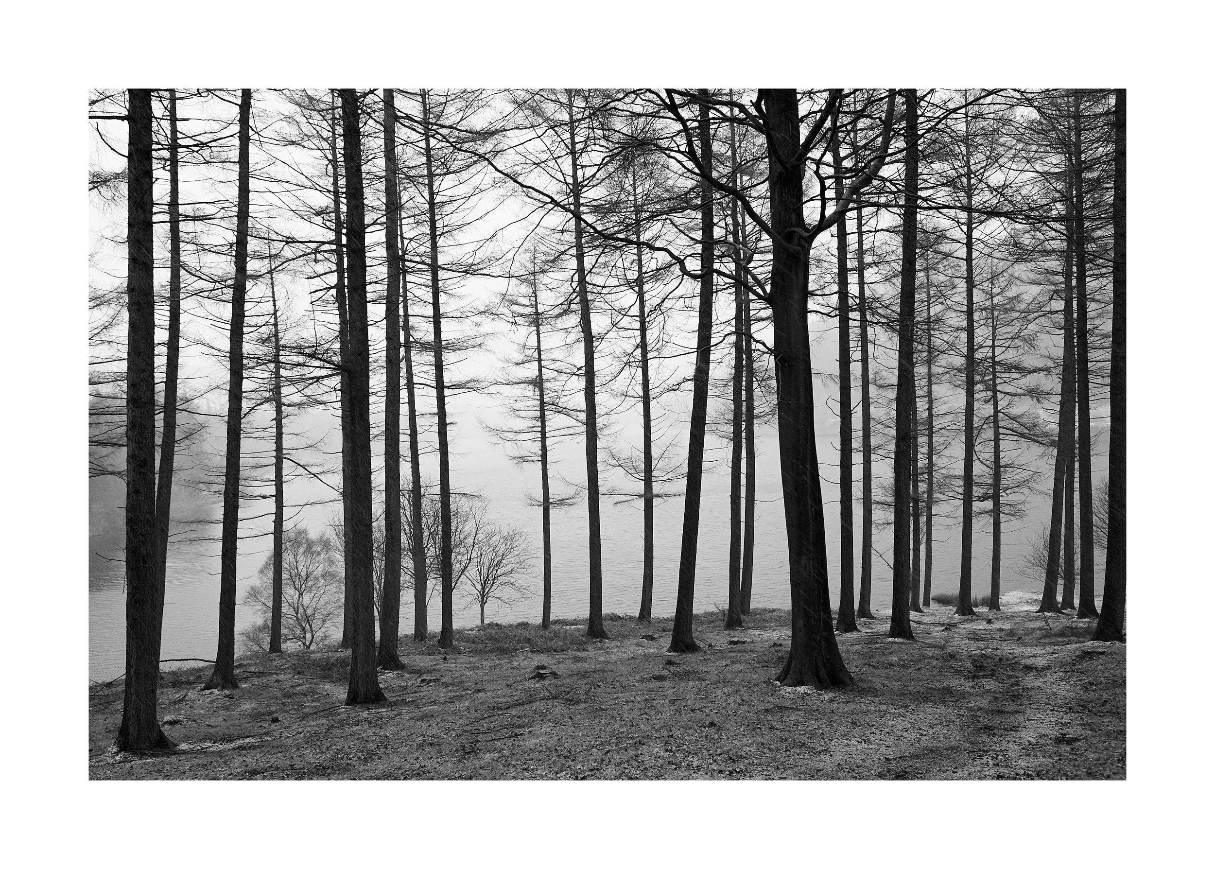 Black &amp; White Photography with Ian Daisley