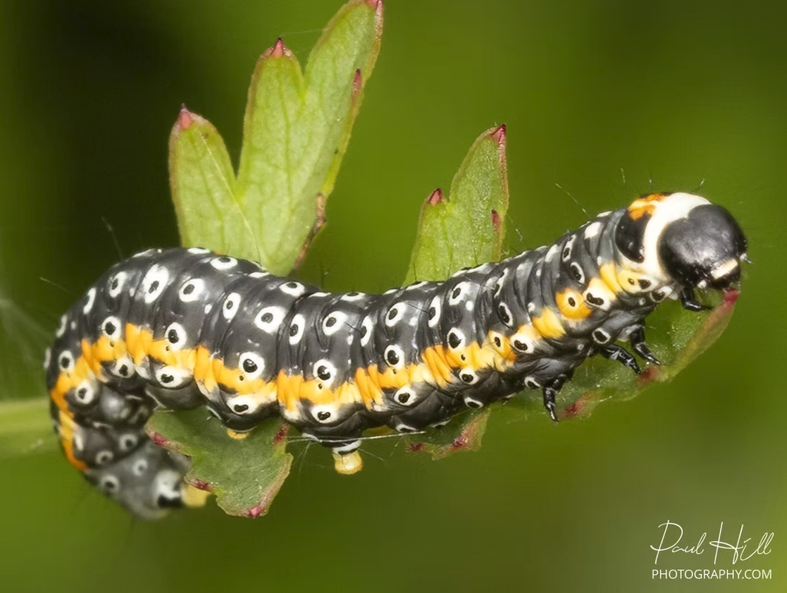 UP CLOSE AND PERSONAL