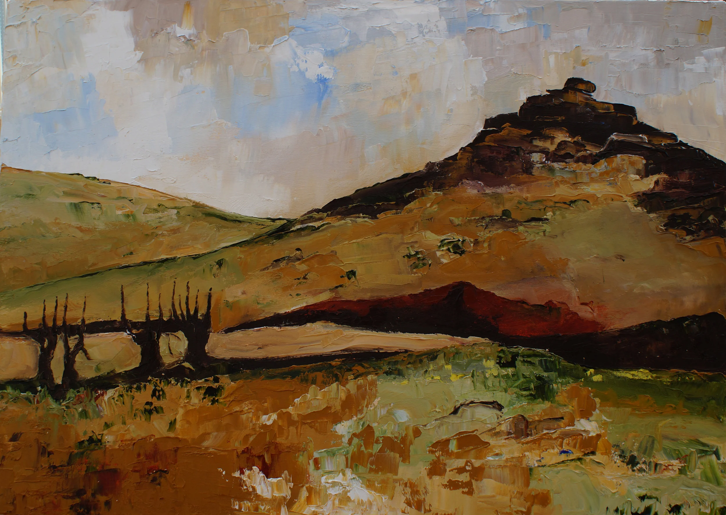 APA 16 19 Dartmoor 2.jpg