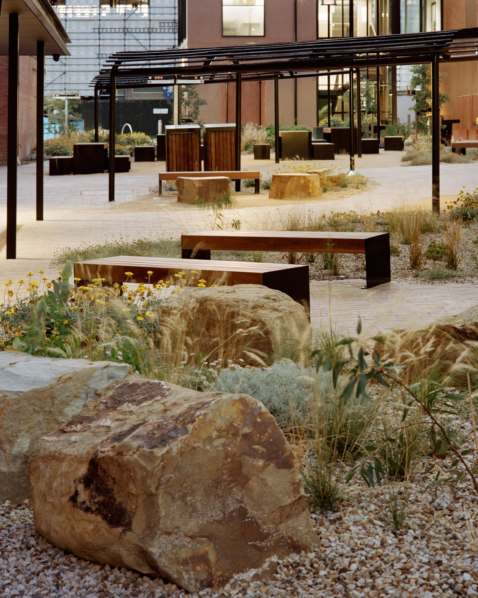 Bendigo_Tafe_Pier Carthew_14.jpg