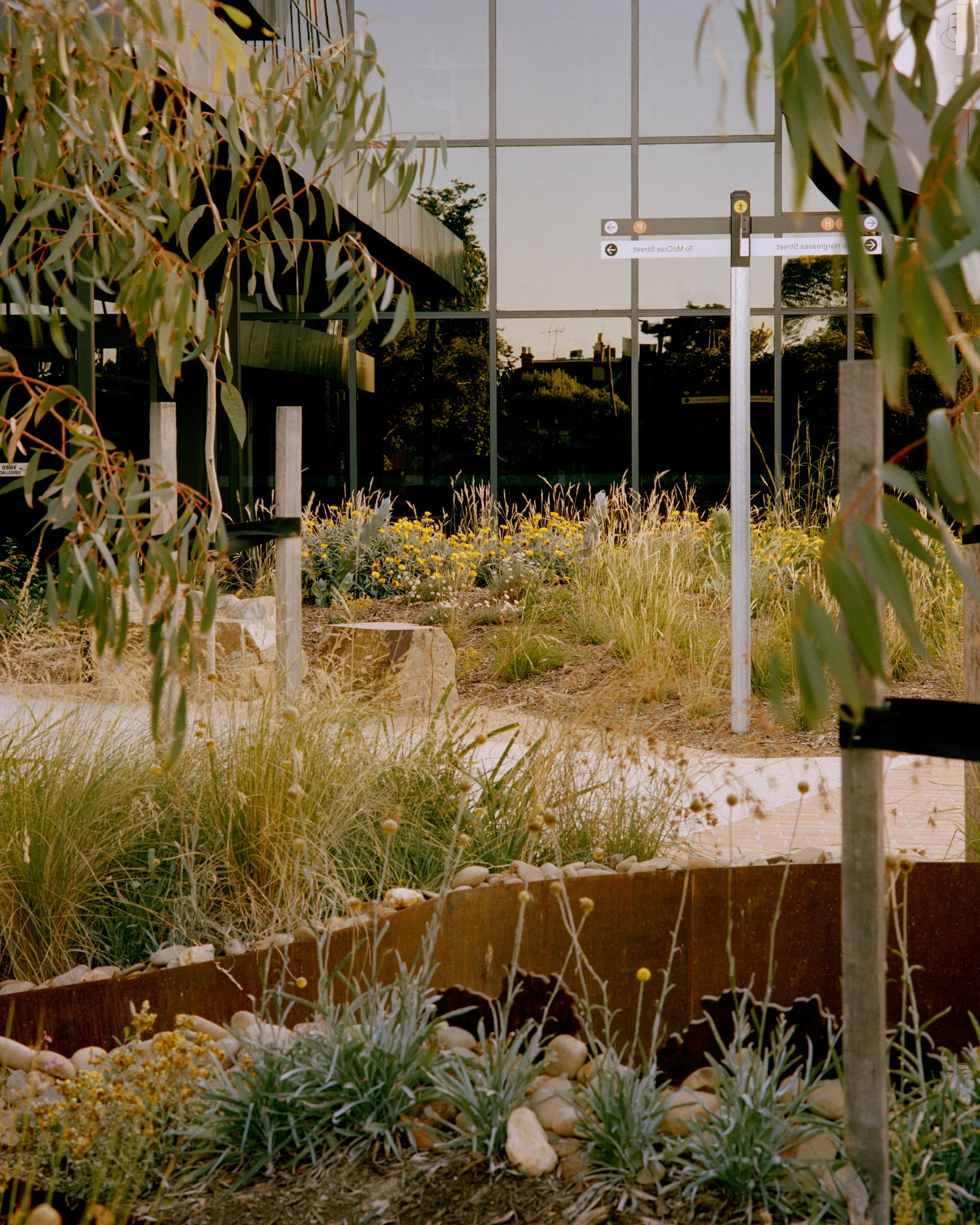 Bendigo_Tafe_Pier Carthew_15.jpg