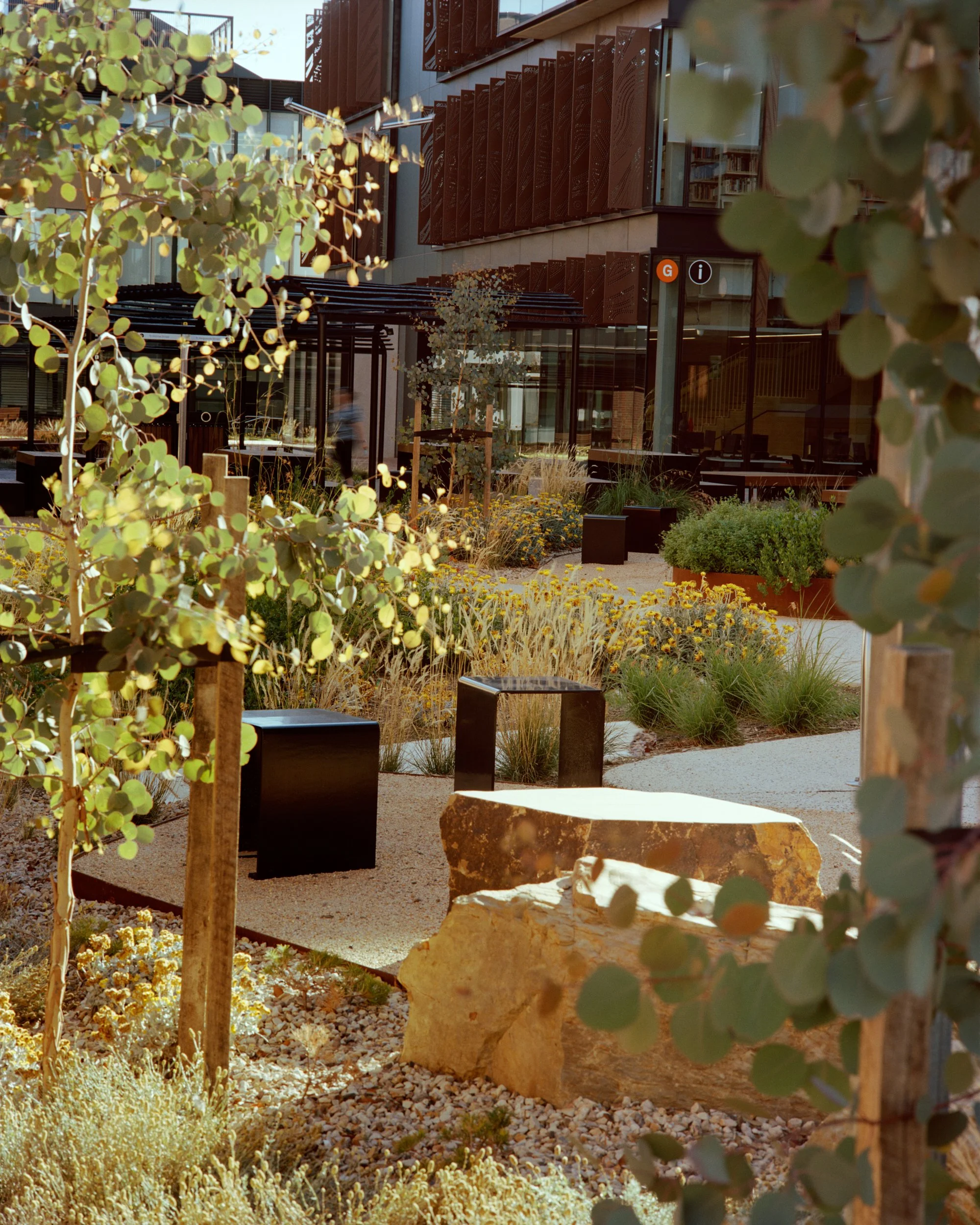 Bendigo_Tafe_Pier Carthew_16.jpg