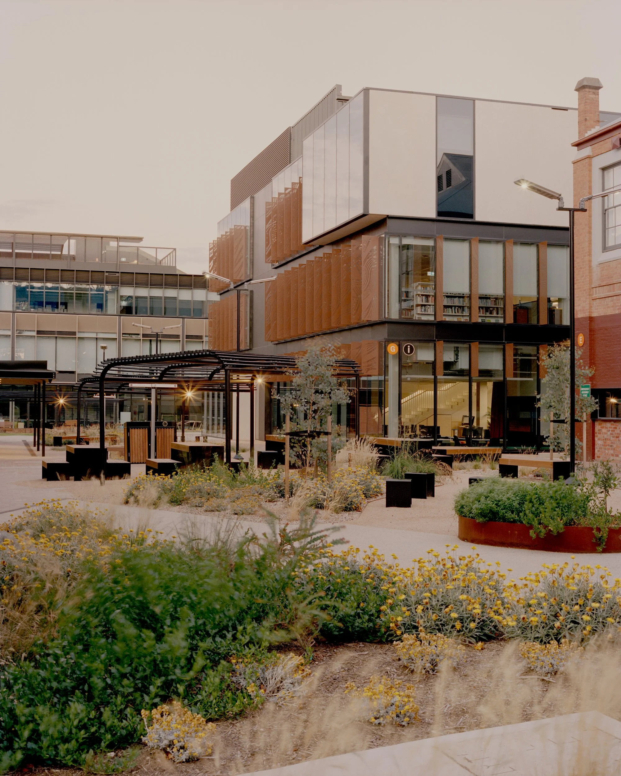 Bendigo_Tafe_Pier Carthew_17.jpg