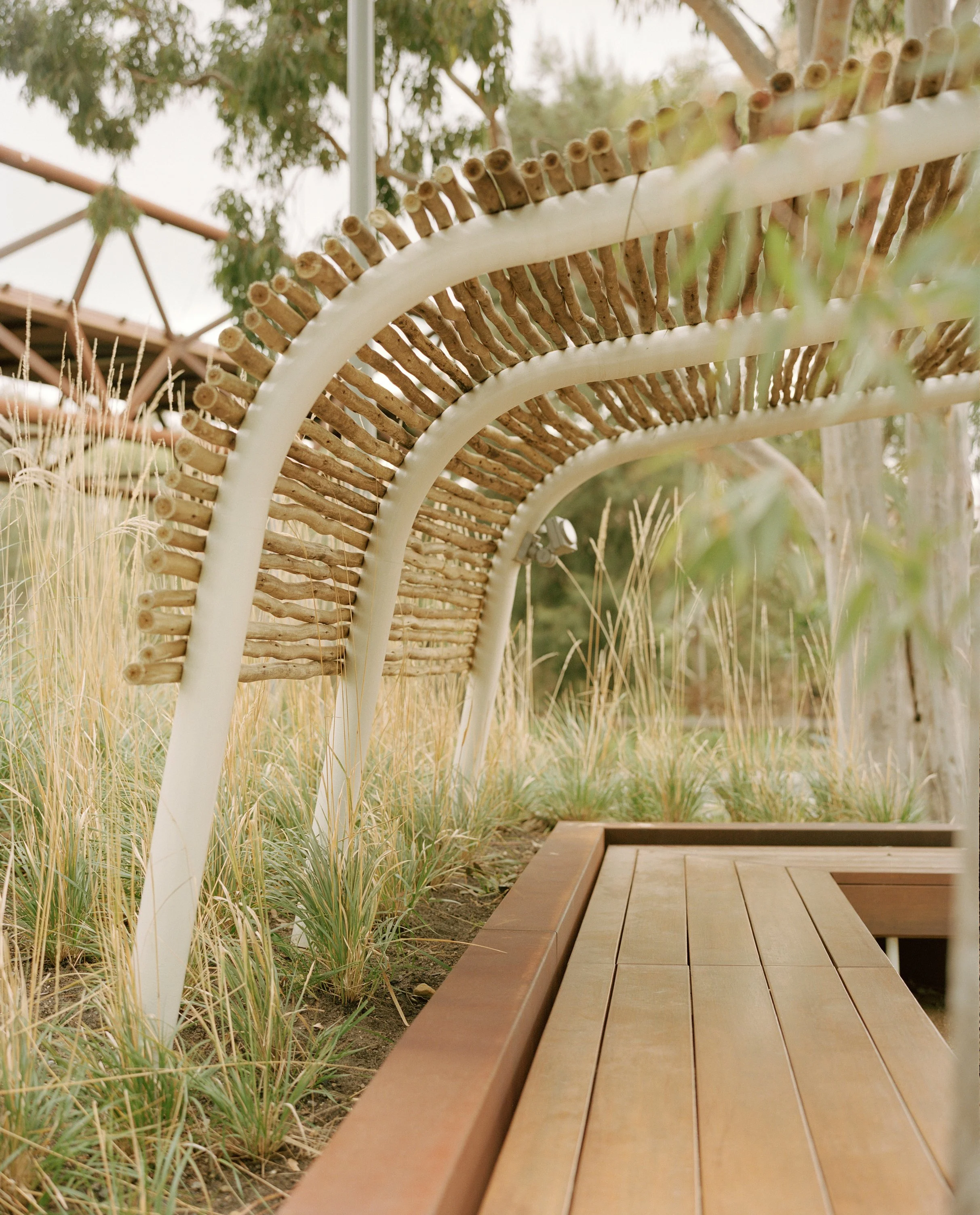 Deakin_Uni_2021 1.jpg