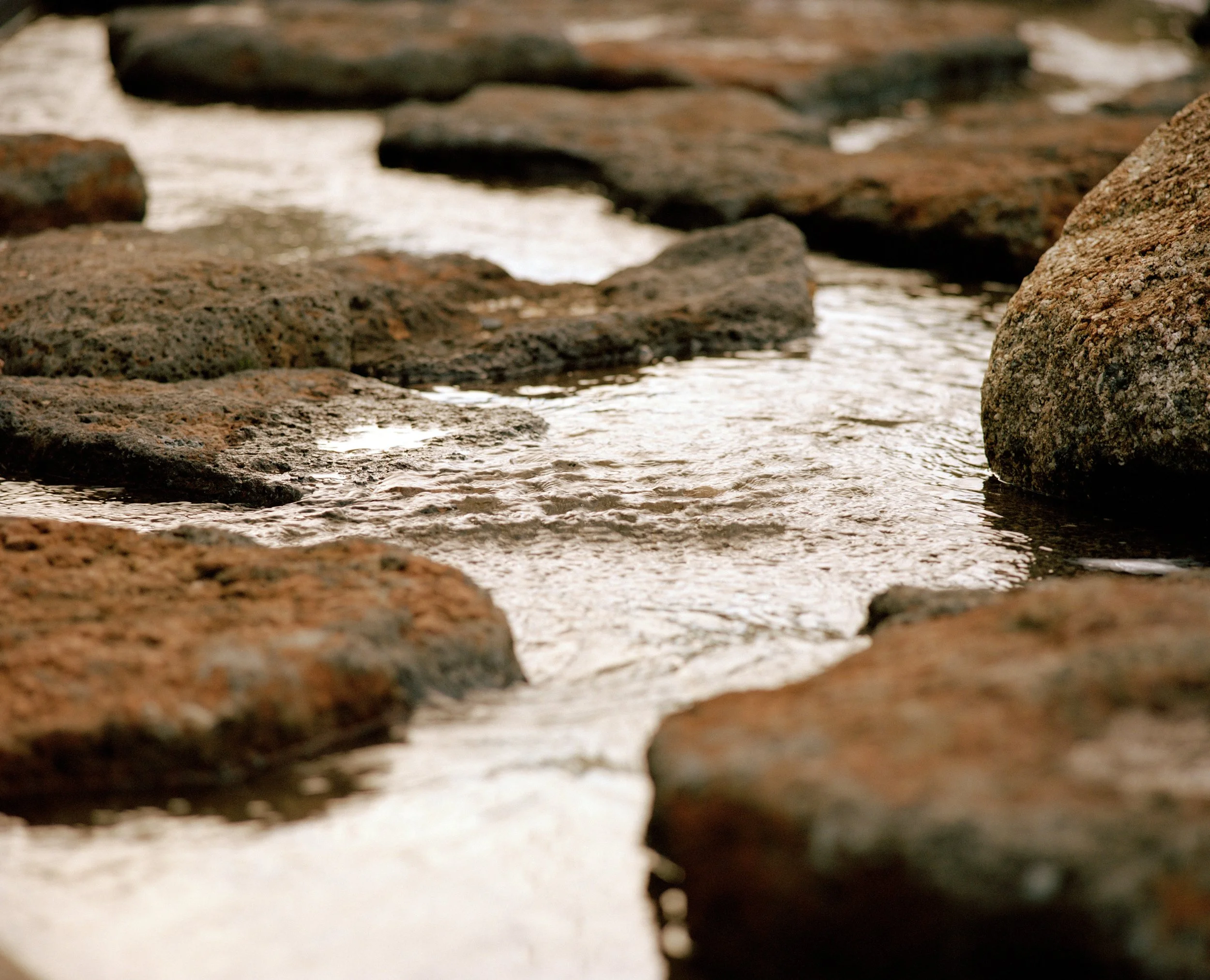Deakin_Uni_2021 6.jpg
