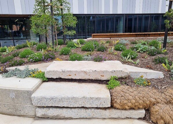 Kate and @hallmarklandscapes have been busy completing stage 01 of Richmond high school