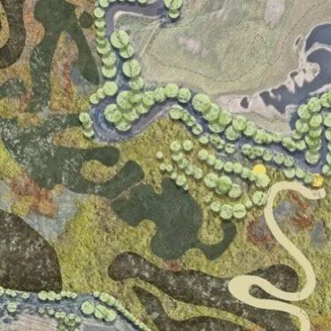 A patchwork of soon to be regenerated billabongs #birrarung #wurundjeriwoiwurrungcountry