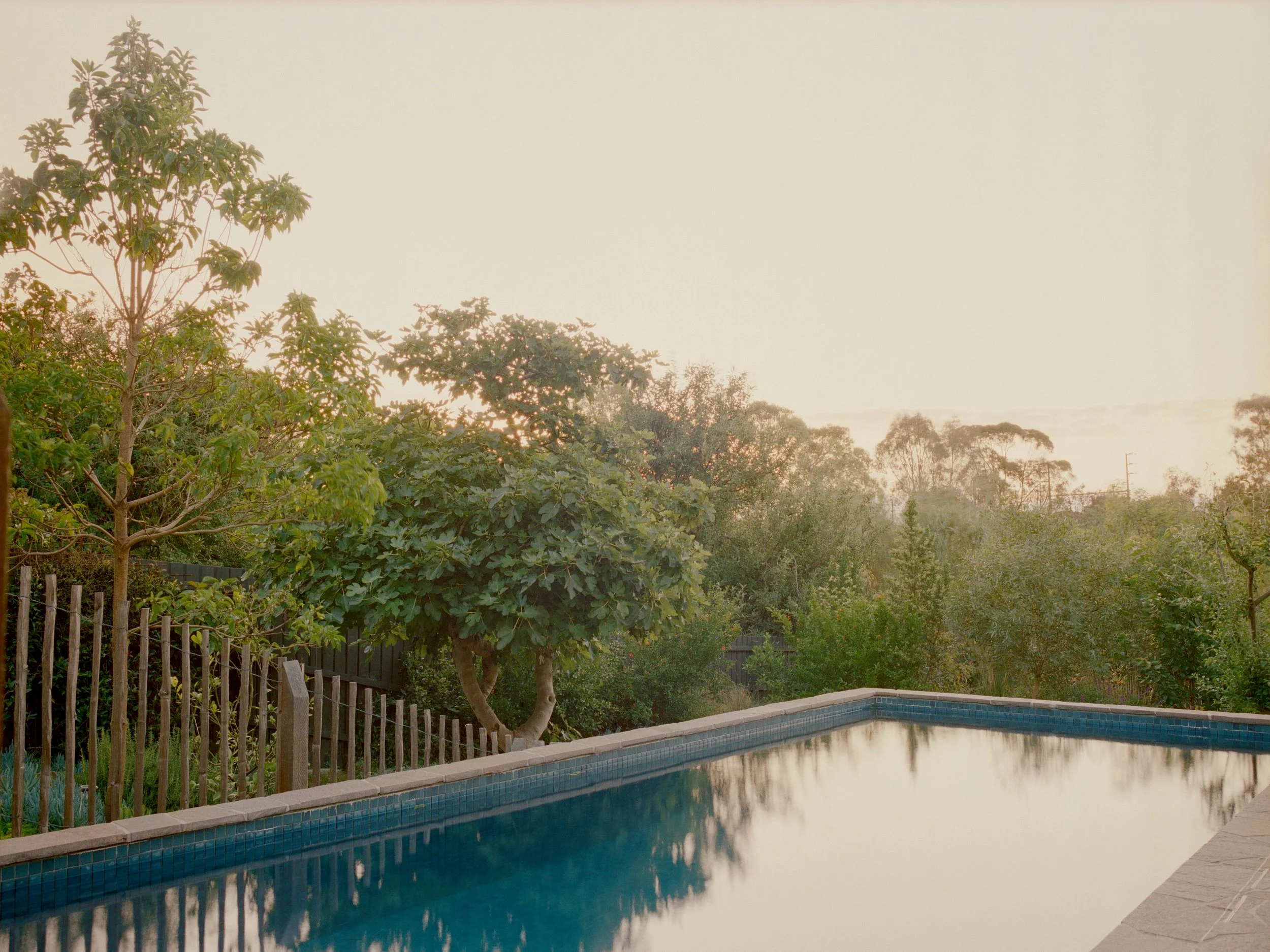 McLachlan_St_28.jpg