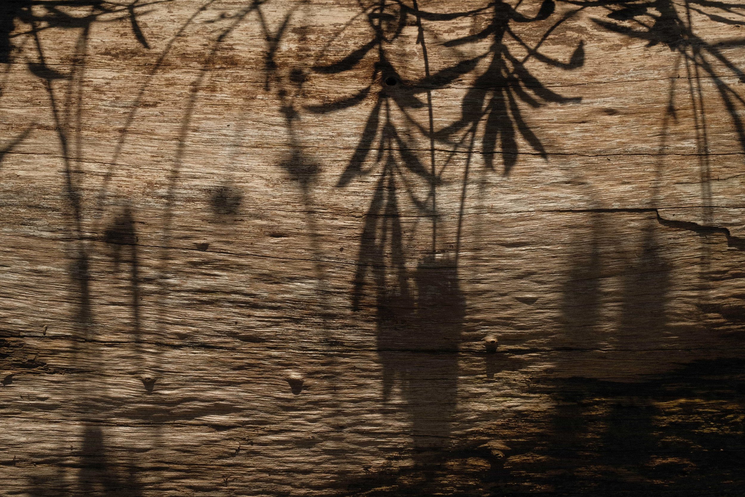 20250716_EMH_byMZito_78 CROP.jpg