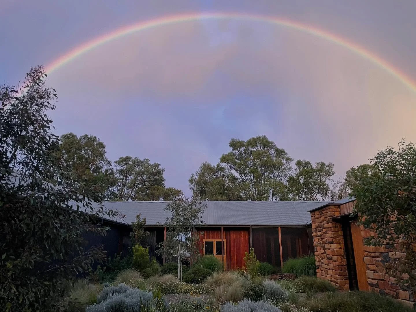 🌾🌾 When we undertook the landscape design for House in the Dry in Tamworth on Kamilaroi/Gomeroi Country, our clients wanted to regenerate the grasslands surrounding their house and attract back the local fauna to the area. Did you know that only 10
