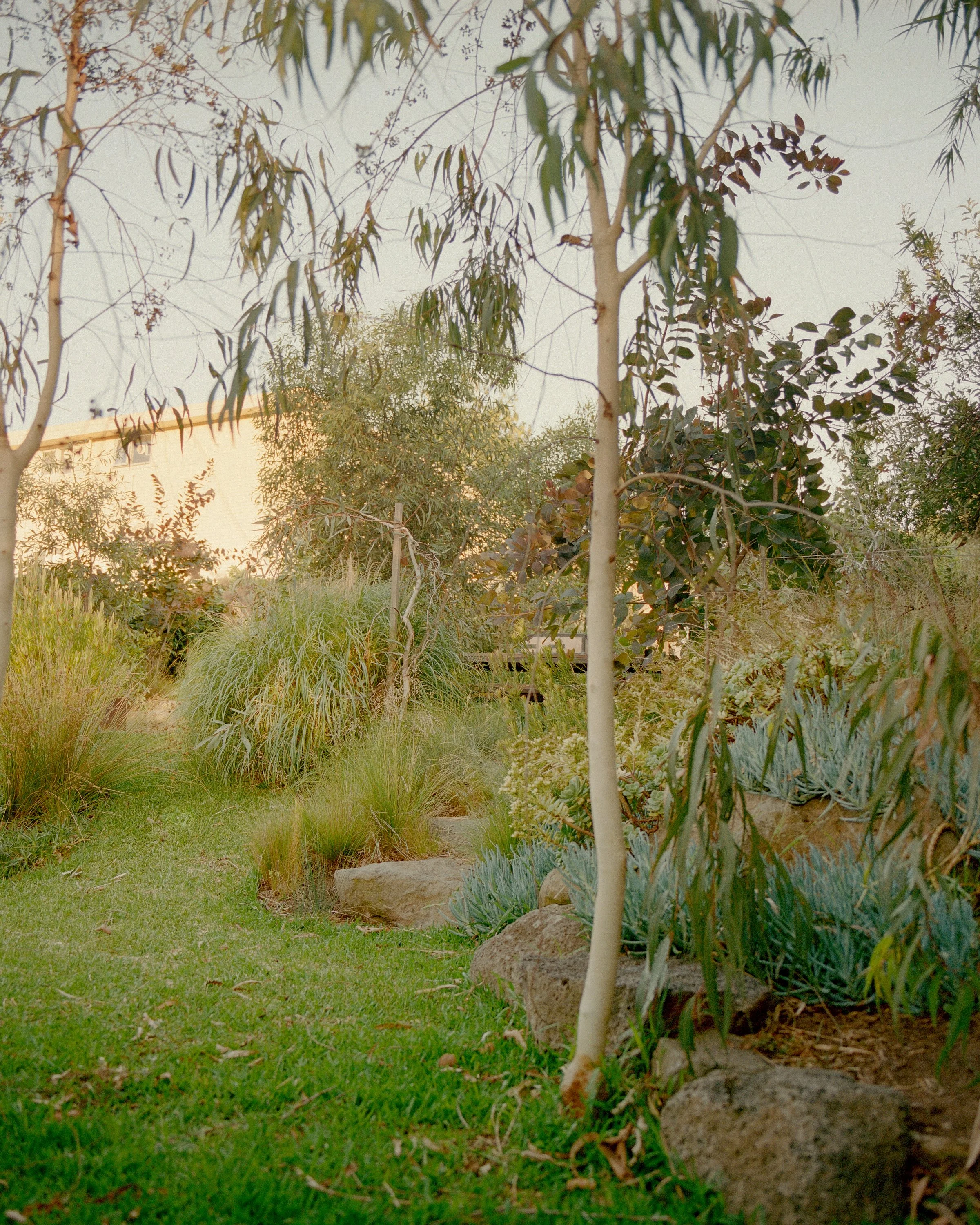 McLachlan_St_52.jpg