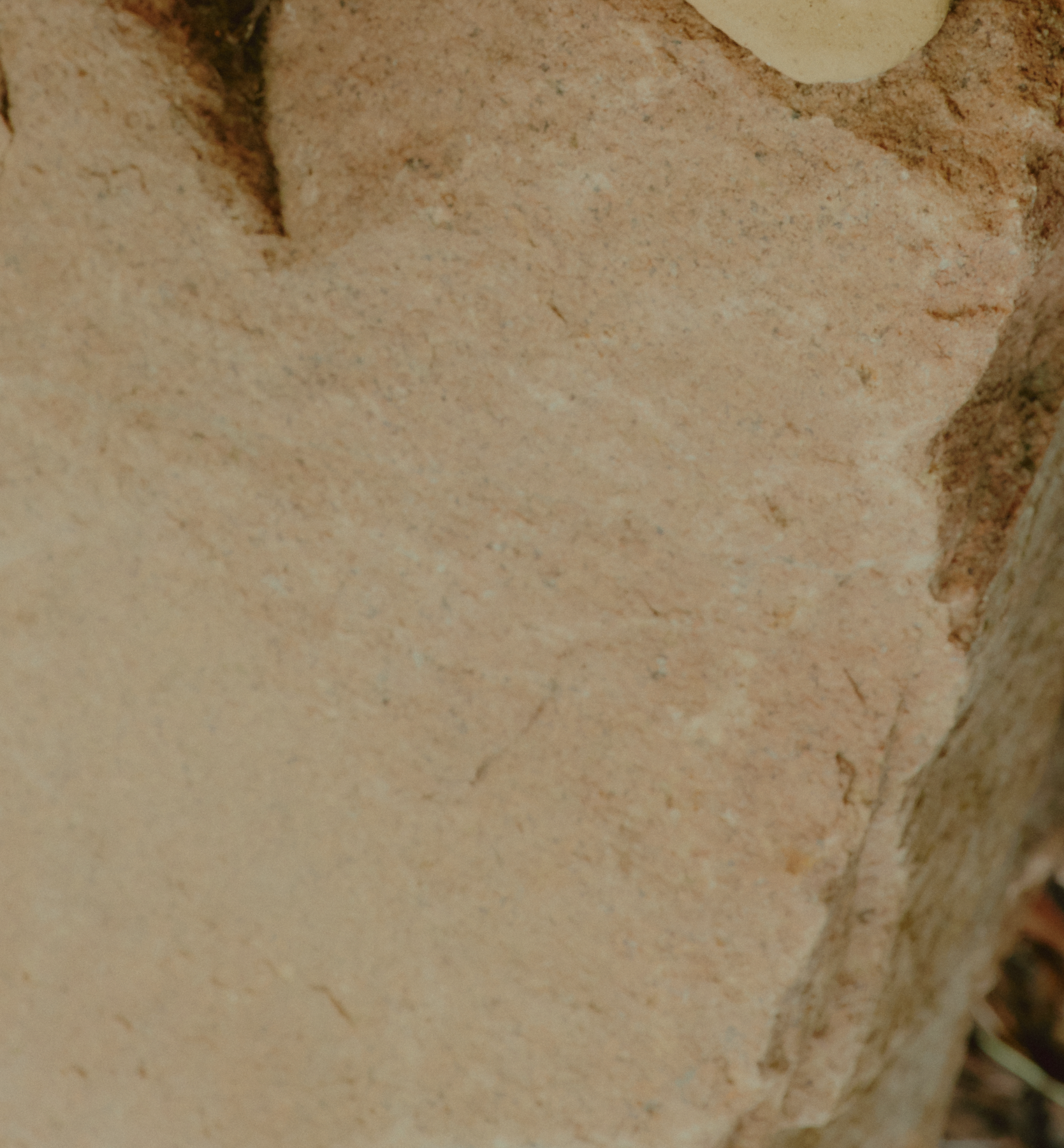 Artboard 40 copy@2x.png