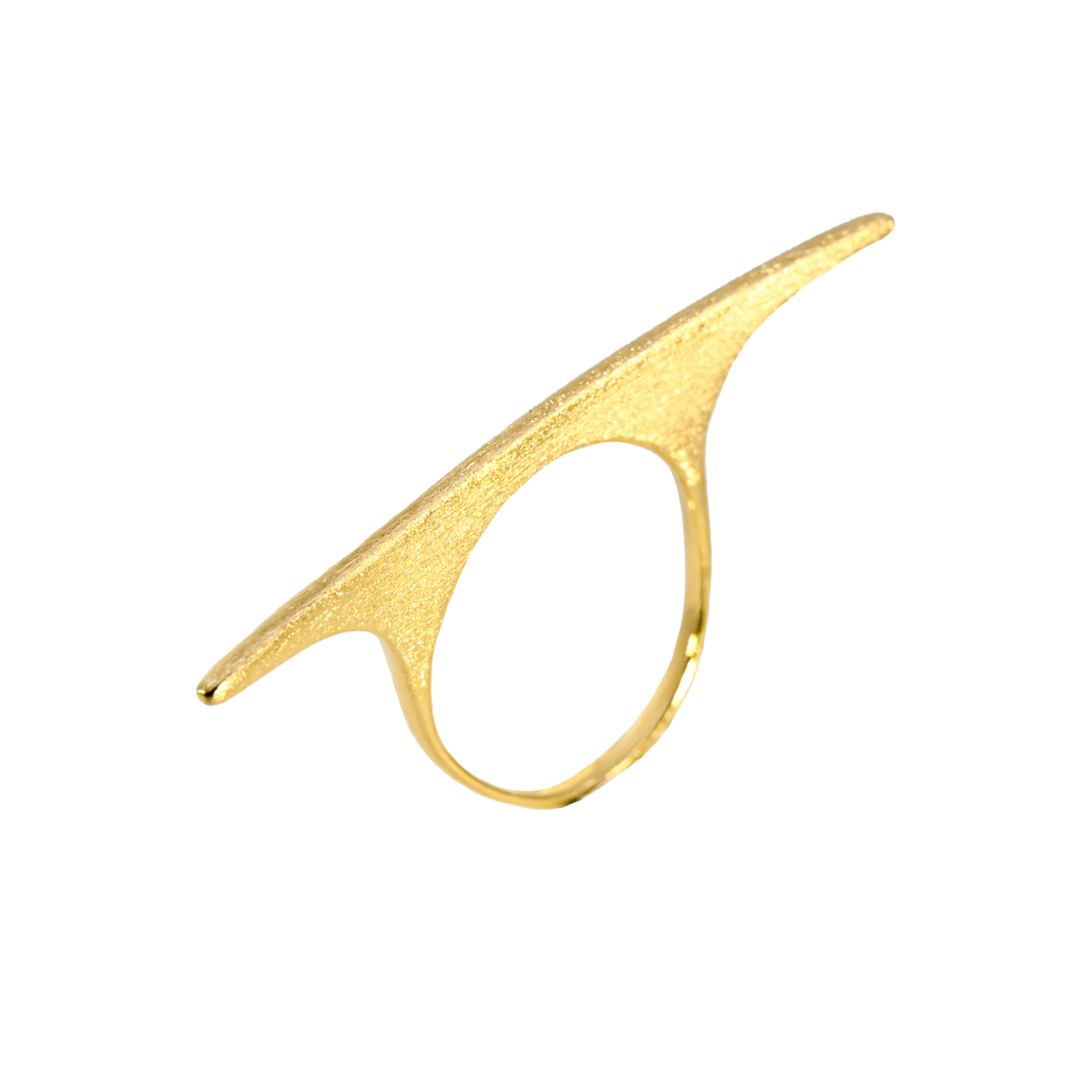 gold ring-W2.png