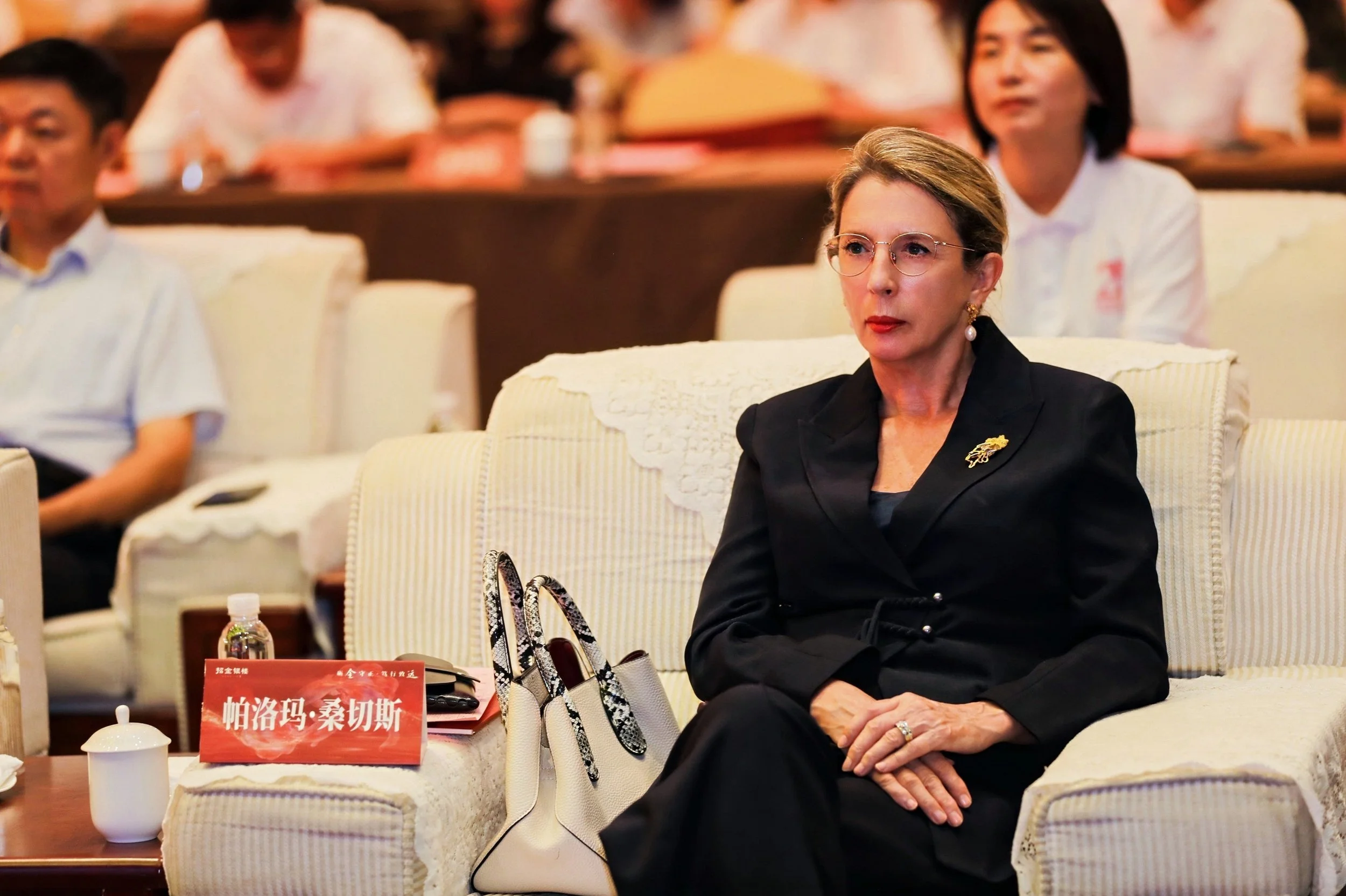 品牌发展大会.JPG
