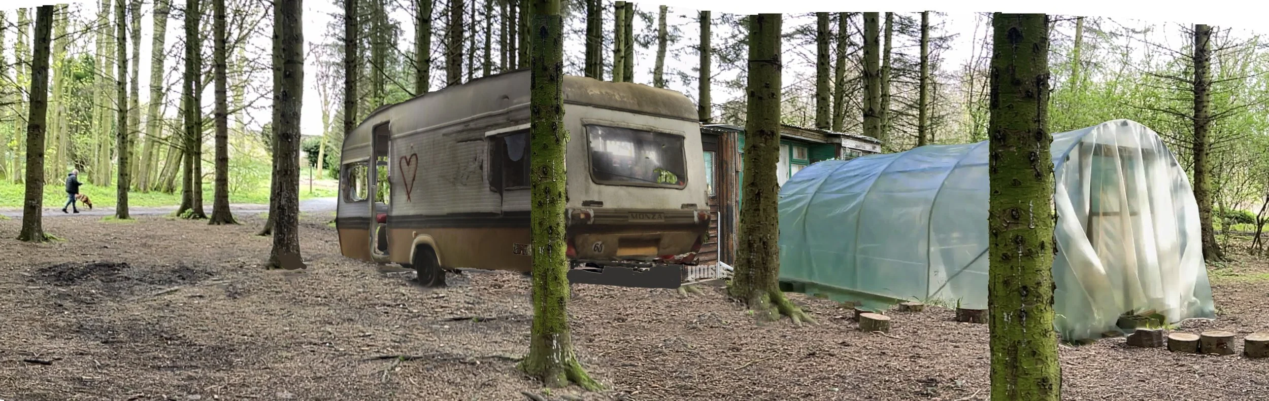 Untitled_Panorama-1 copy.jpg